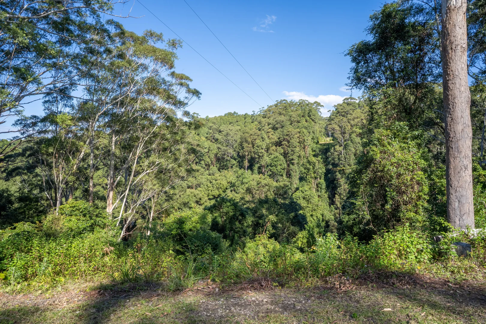 Additional image 39 of 76 Maso Road, Repentance Creek NSW 2480