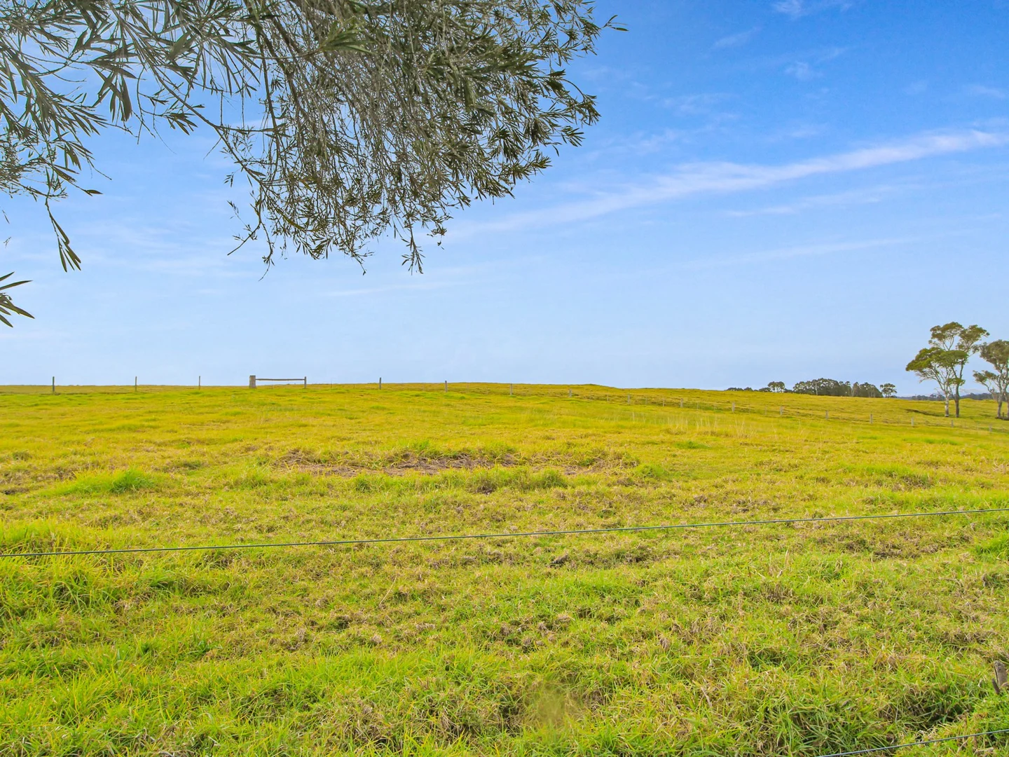 Additional image 24 of 473 Princes Highway, Orbost VIC 3888