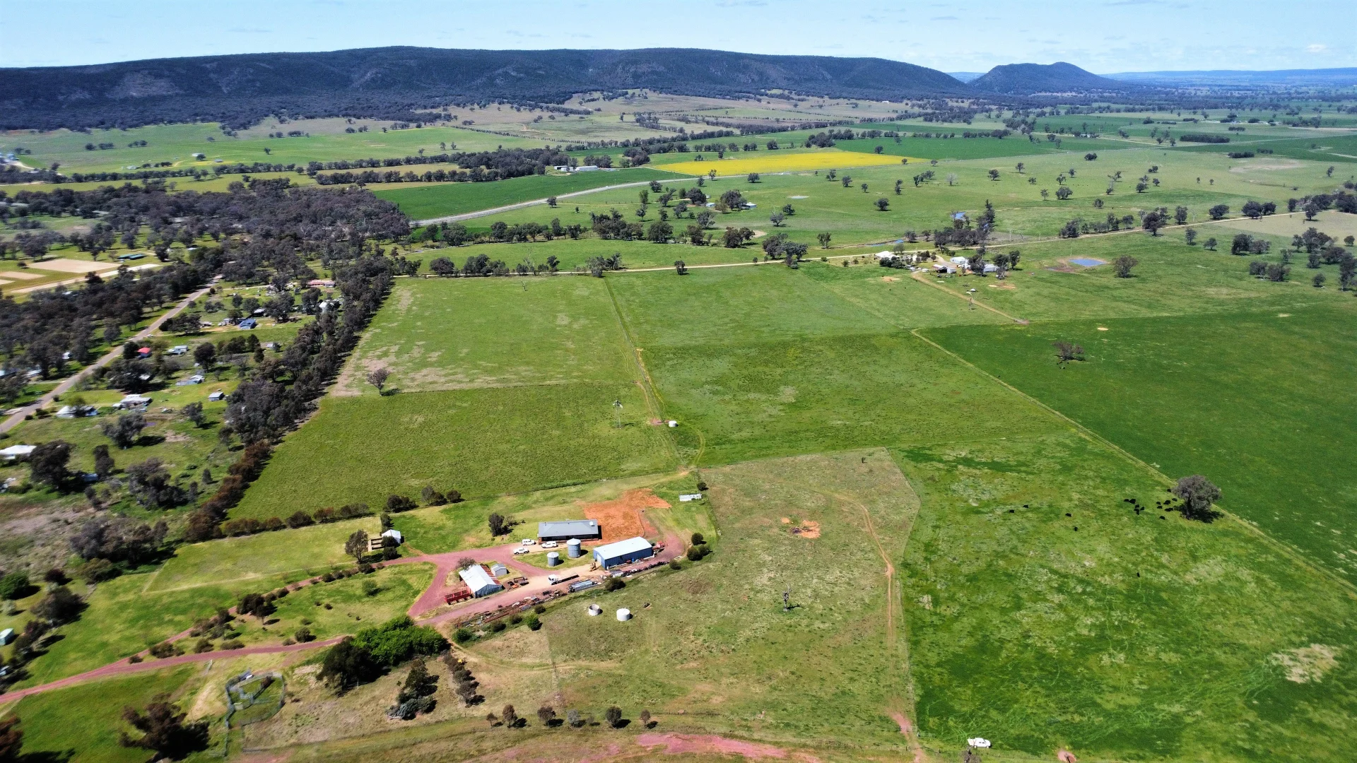 Additional image 25 of Young NSW 2594