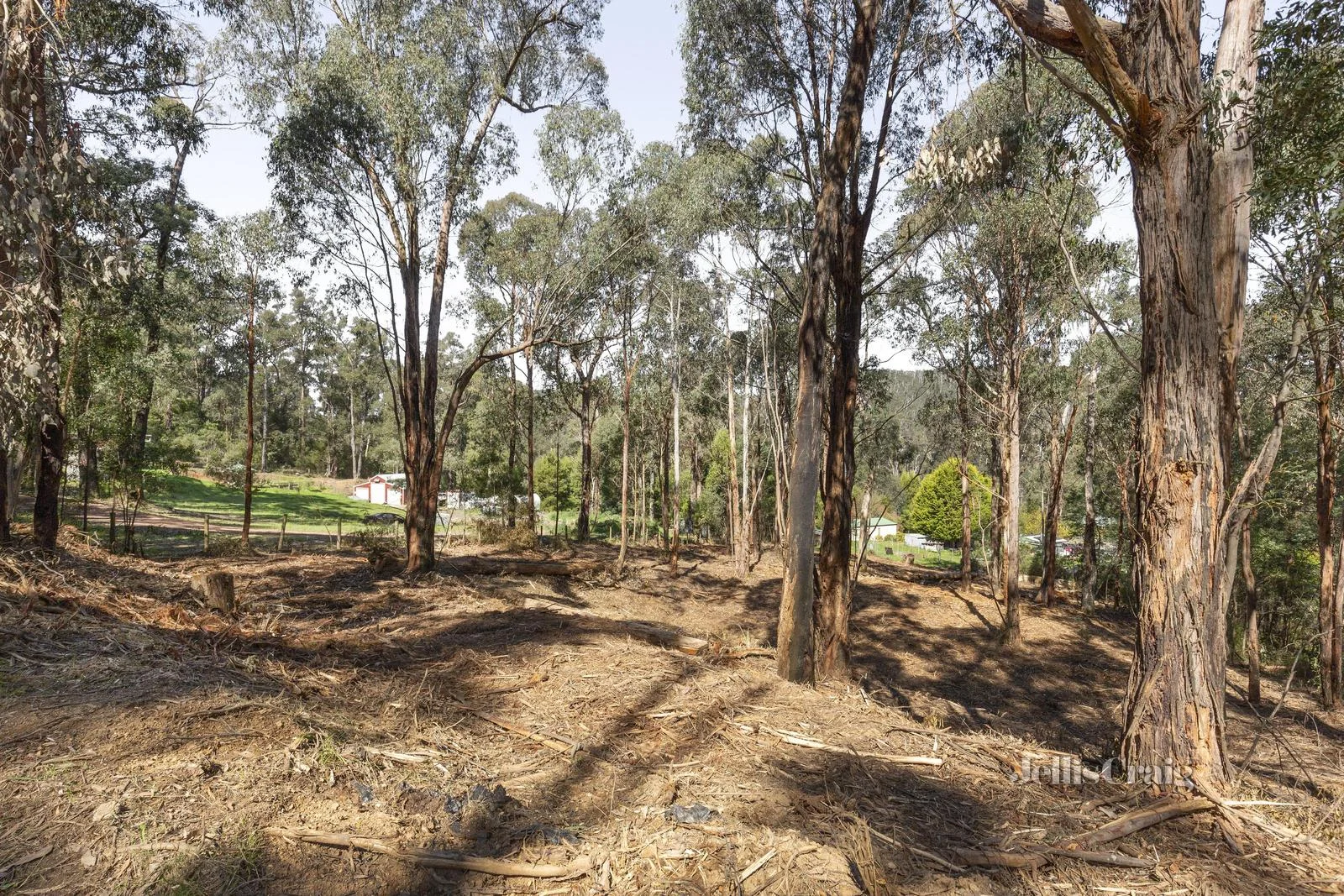 Additional image 4 of 37 Silver Parrot Road, Flowerdale VIC 3717