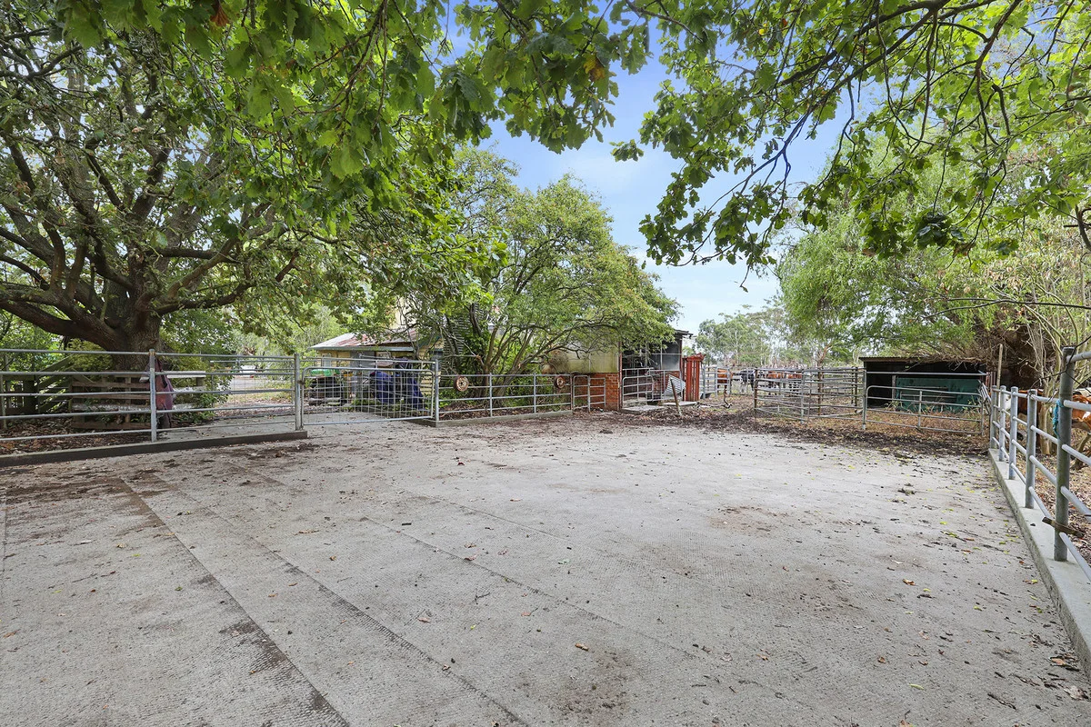Additional image 6 of 197 Yarragon-Shady Creek Road, Yarragon VIC 3823