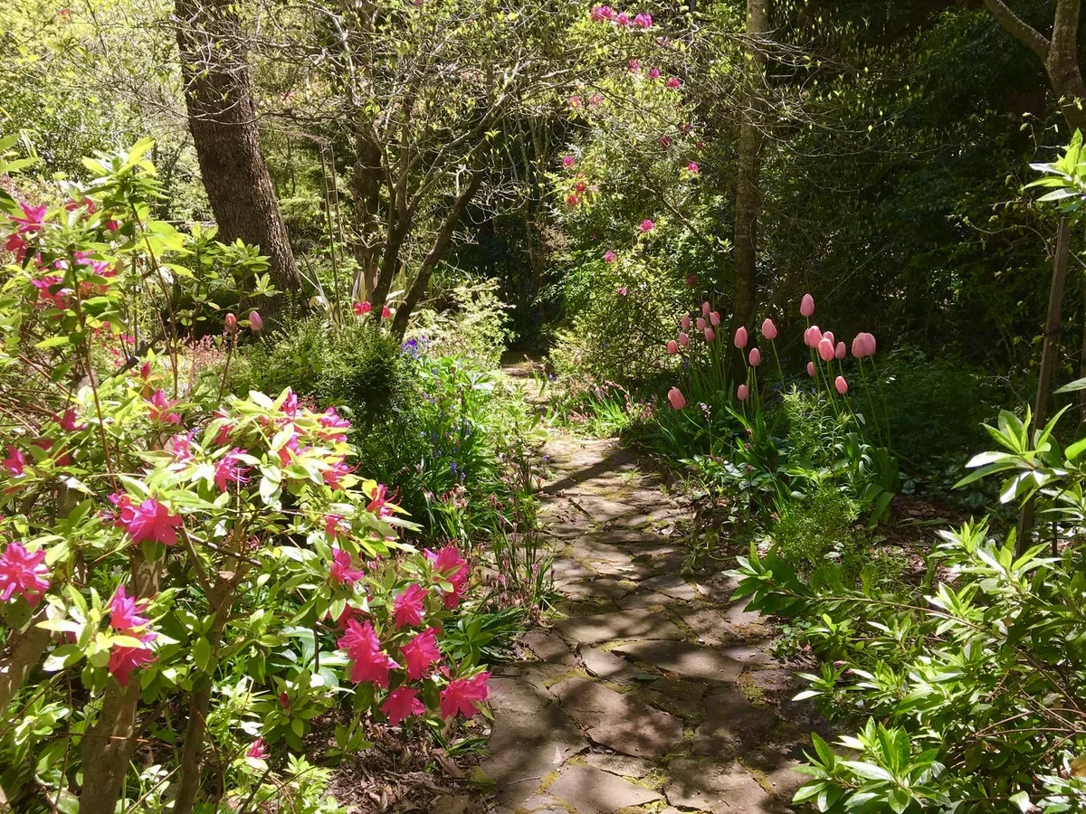 Additional image 23 of 4 Blaxland Avenue, Leura NSW 2780