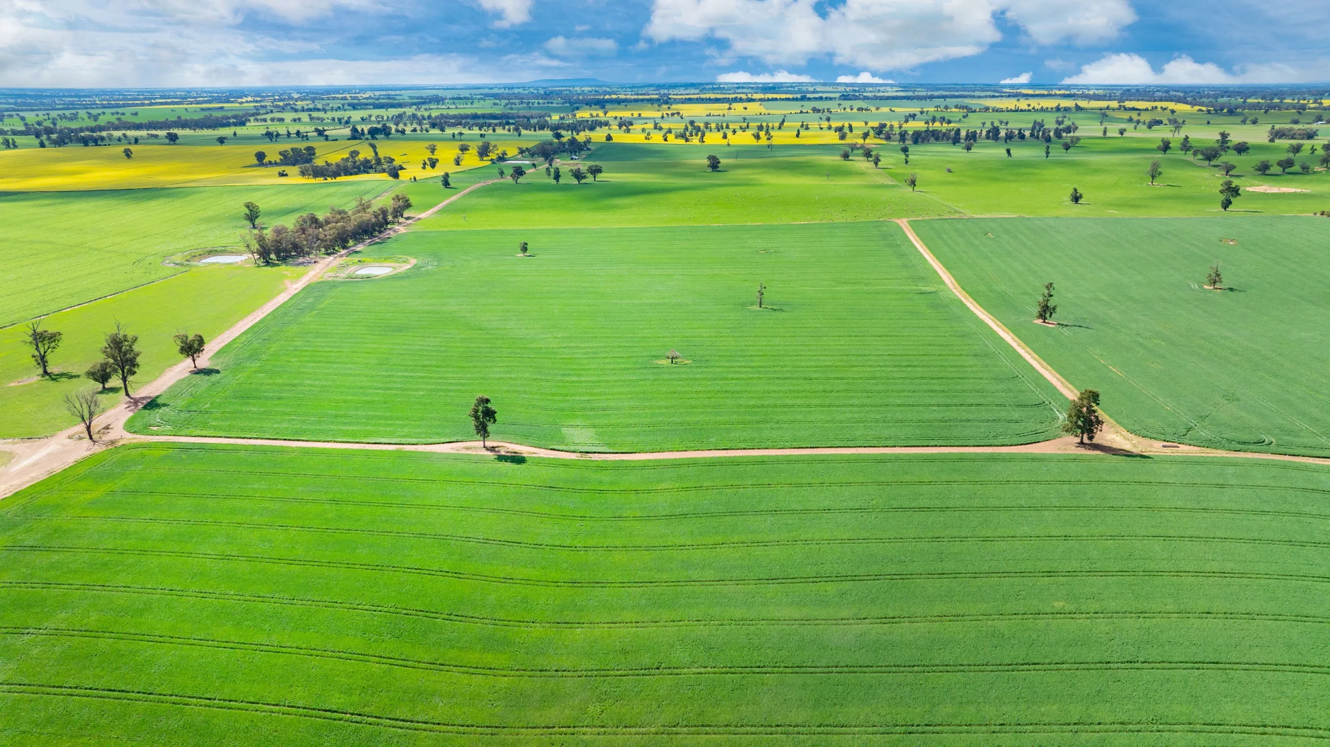 Additional image 15 of 1516 Osborne Pleasant HIlls Road, Pleasant Hills NSW 2658