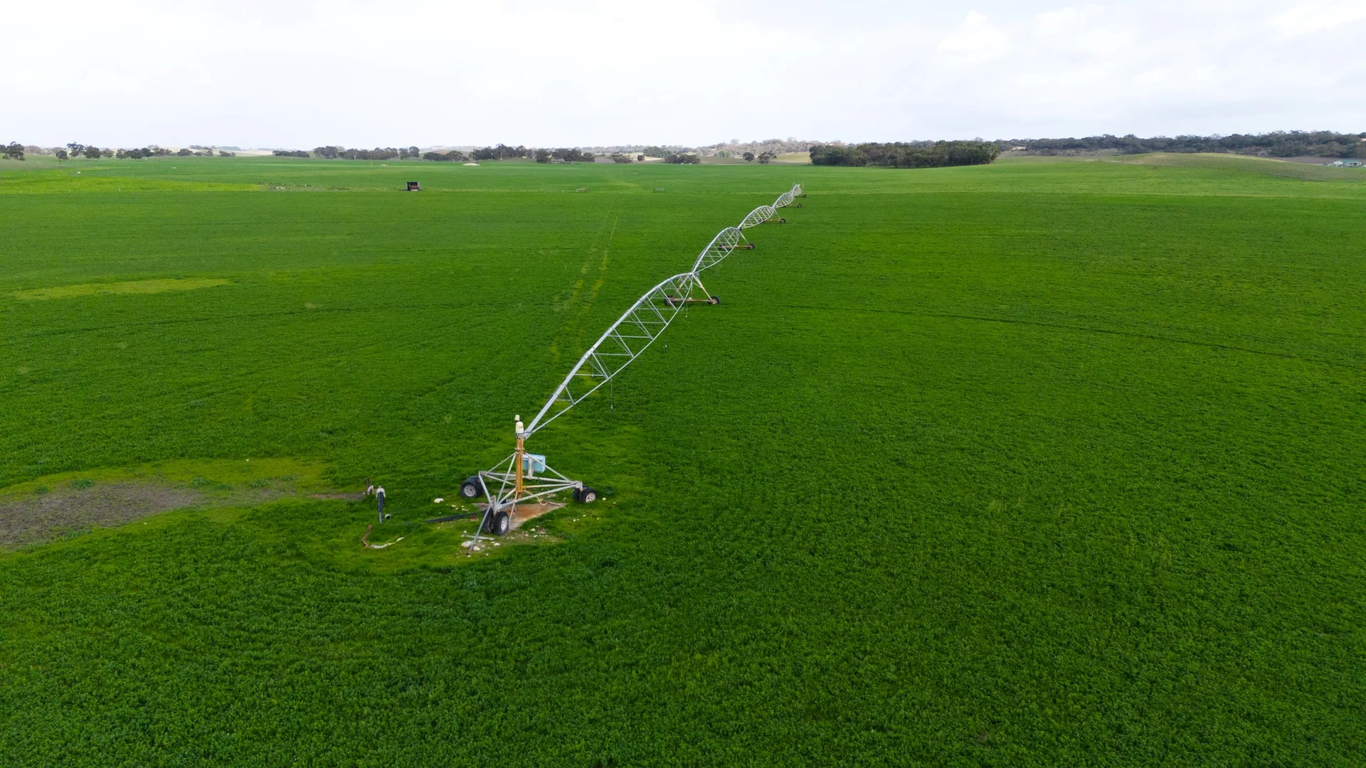 Additional image 3 of 8 Coombe Road, Tintinara SA 5266