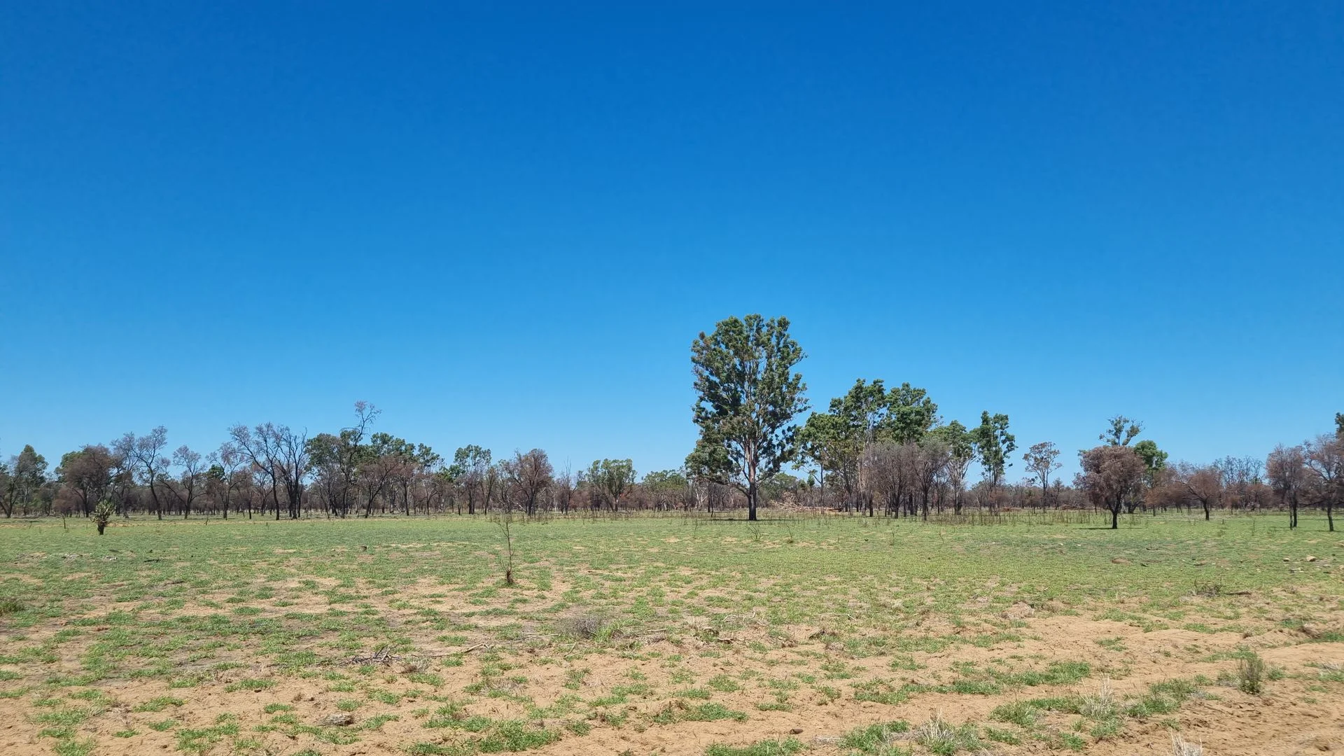 Additional image 10 of 202-410 Wallal Street, Bakers Bend QLD 4470