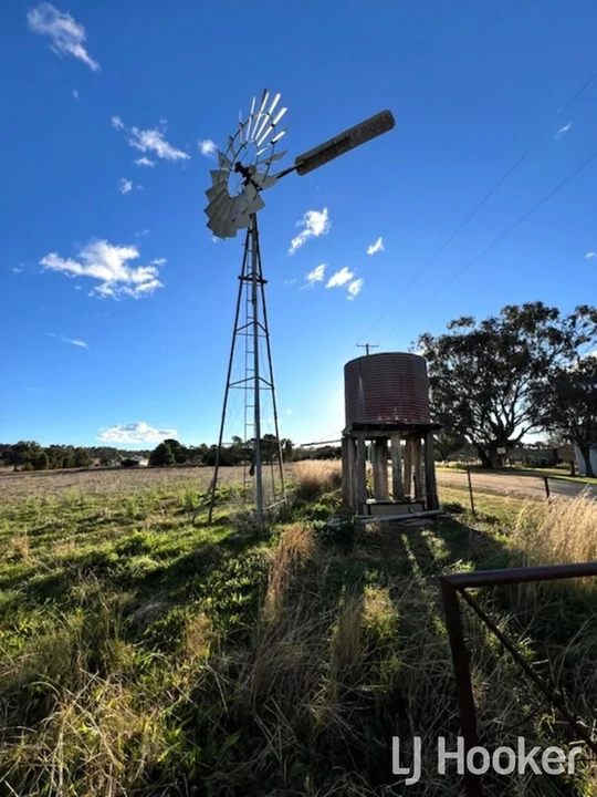 133 Dog Trap Lane, Inverell NSW 2360