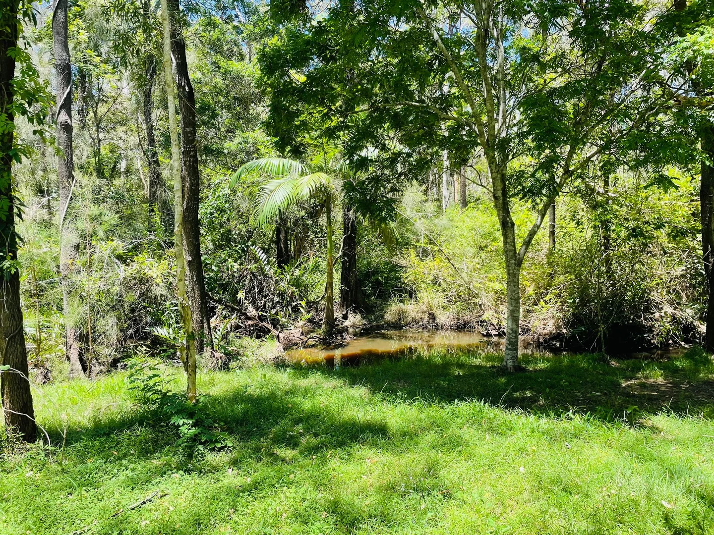 Additional image 16 of 264 Cooks Road, South Isis QLD 4660