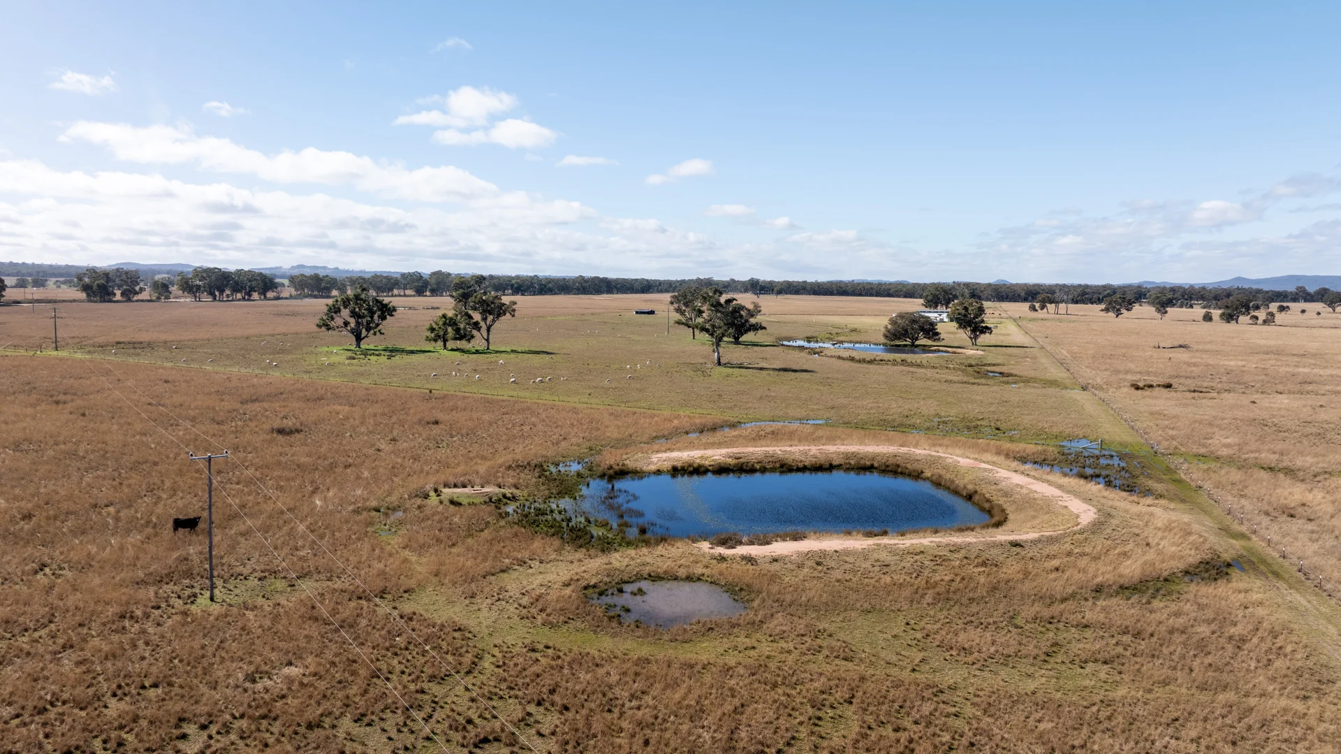 Additional image 16 of 96 Stubbo Road, Gulgong NSW 2852