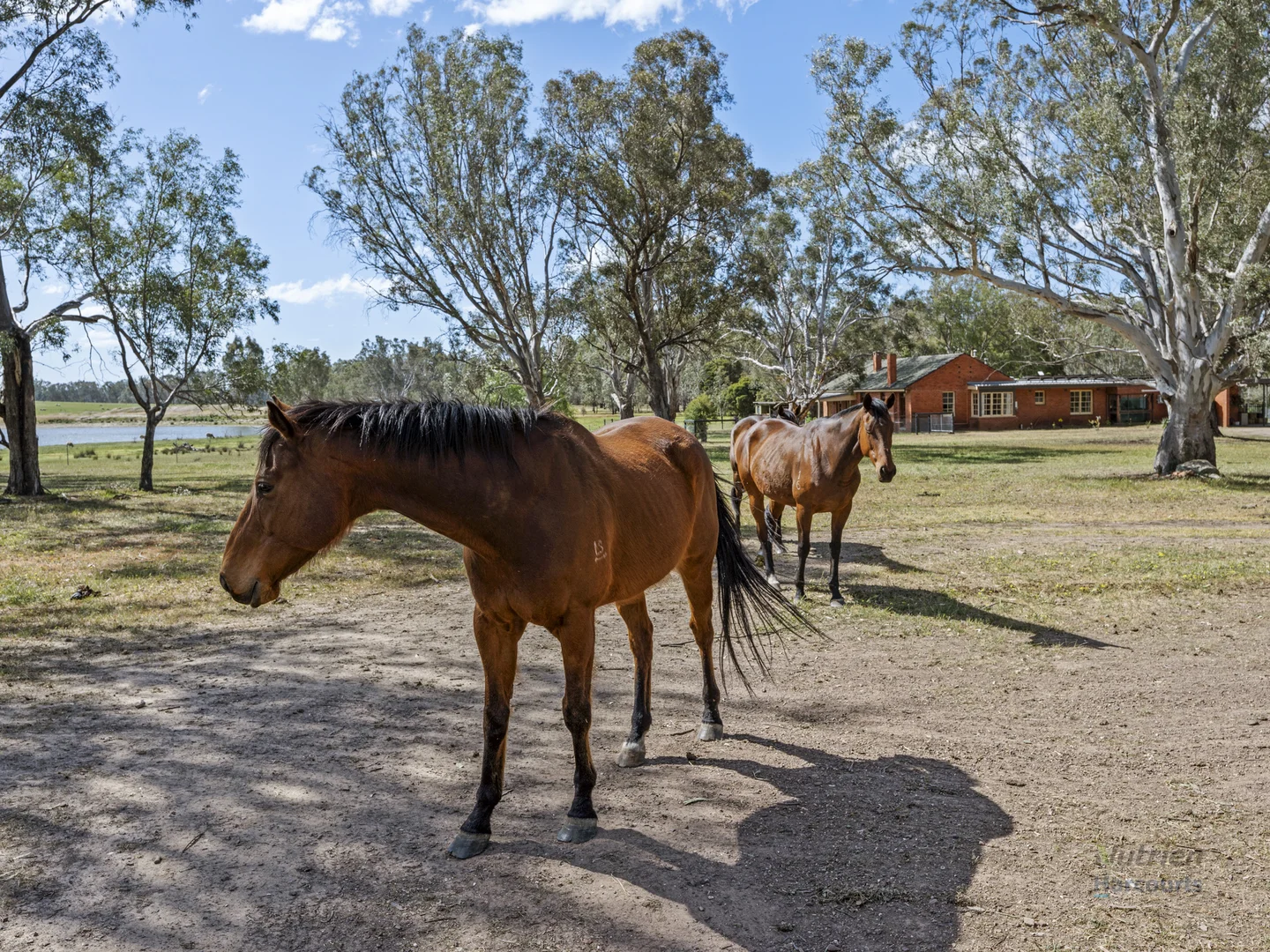 Additional image 18 of 182 Strathaird Road, Tamleugh VIC 3669