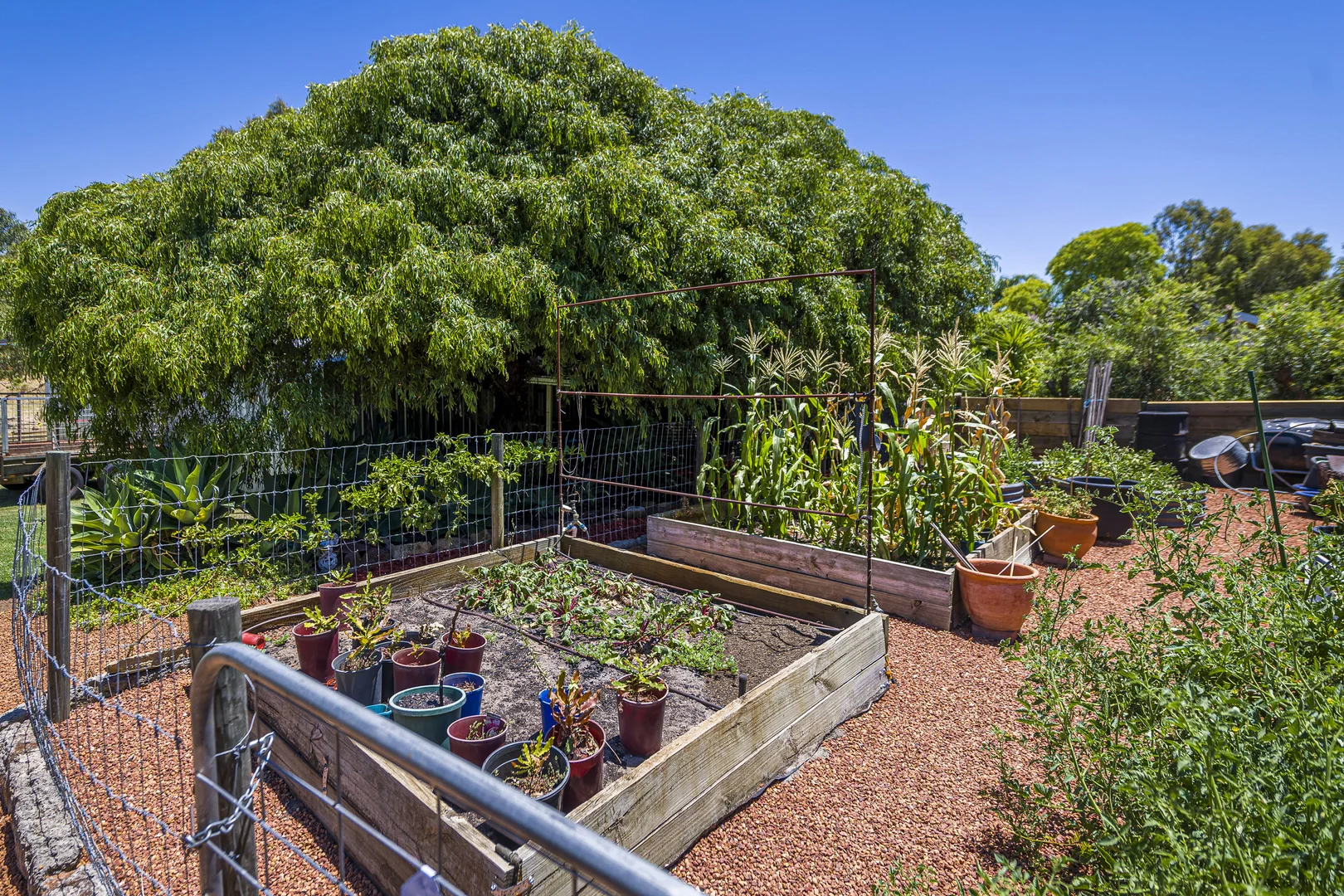 Additional image 22 of 48 Deanhead Street, Bullsbrook WA 6084