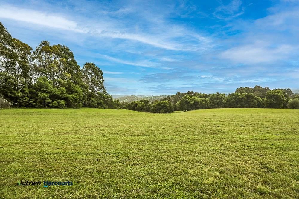 Additional image 26 of 506 Sawyers Ridge Road, Reidsdale NSW 2622