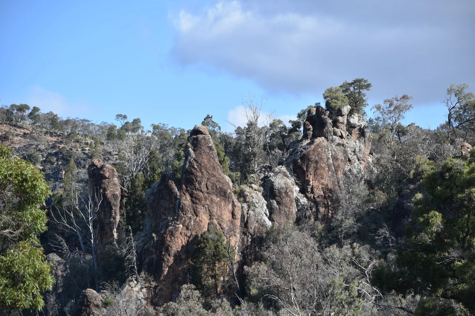 Additional image 8 of 1124 WARKTON ROAD, Coonabarabran NSW 2357