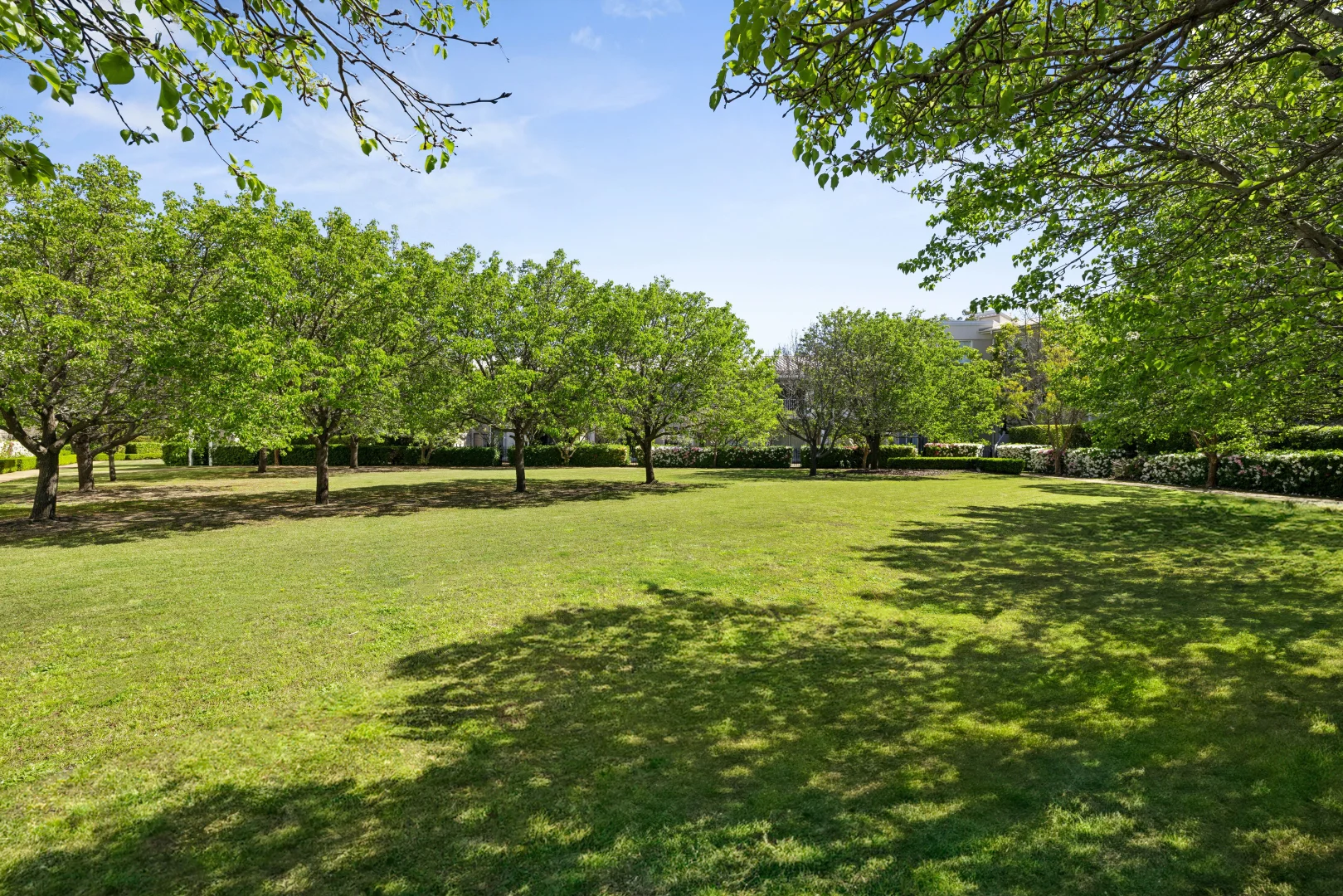 Additional image 8 of 208/8 Orchards Avenue, Breakfast Point NSW 2137