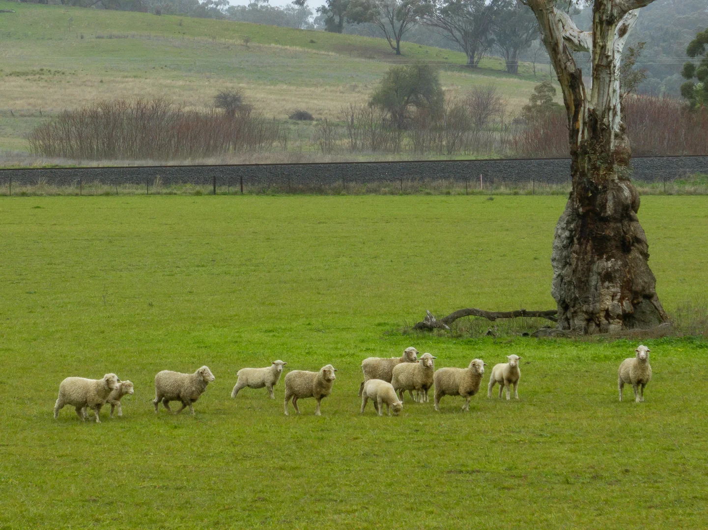 Additional image 9 of 6119 Burrendong Way, Stuart Town NSW 2820