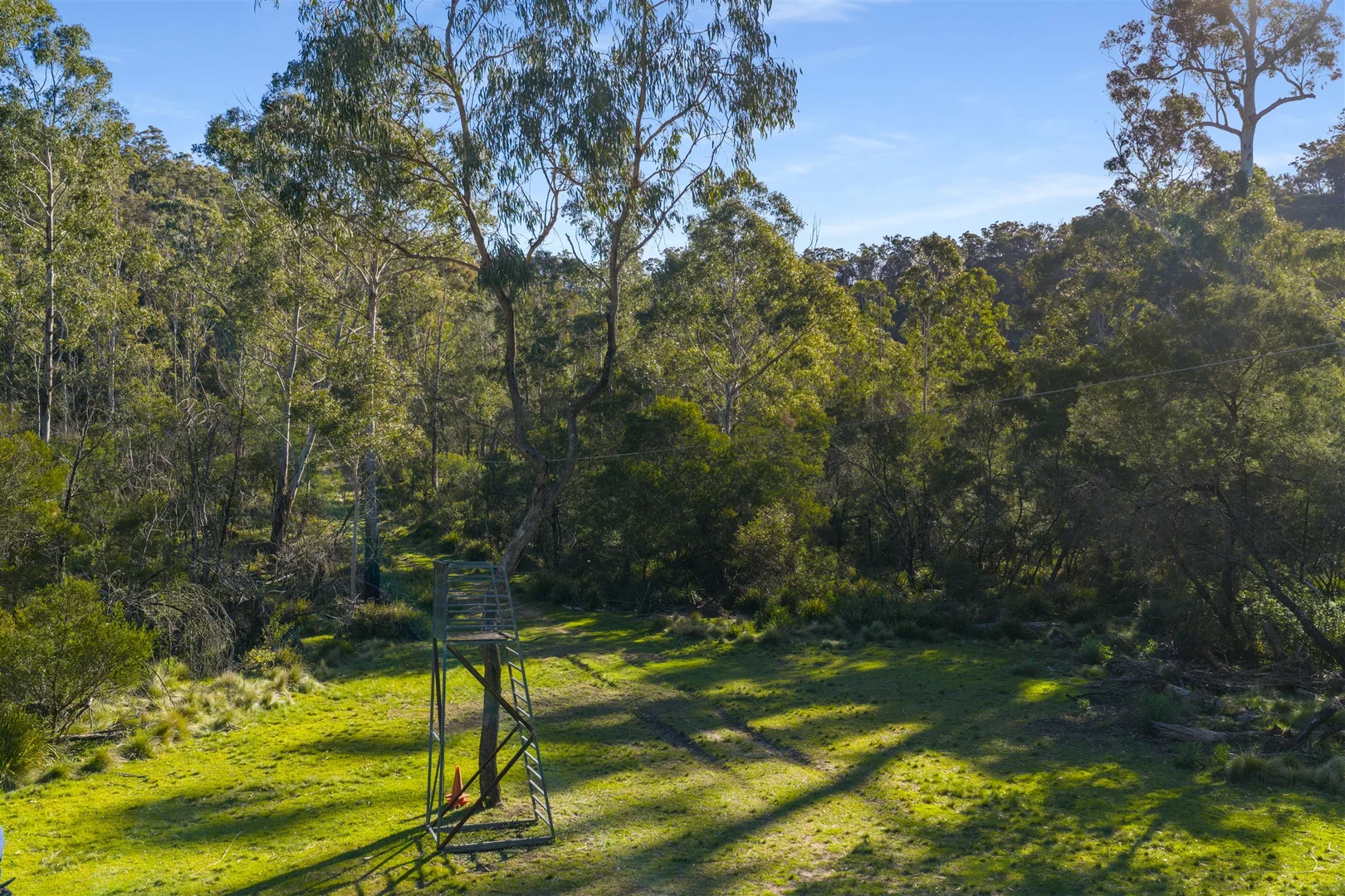 Additional image 19 of Belanglo NSW 2577