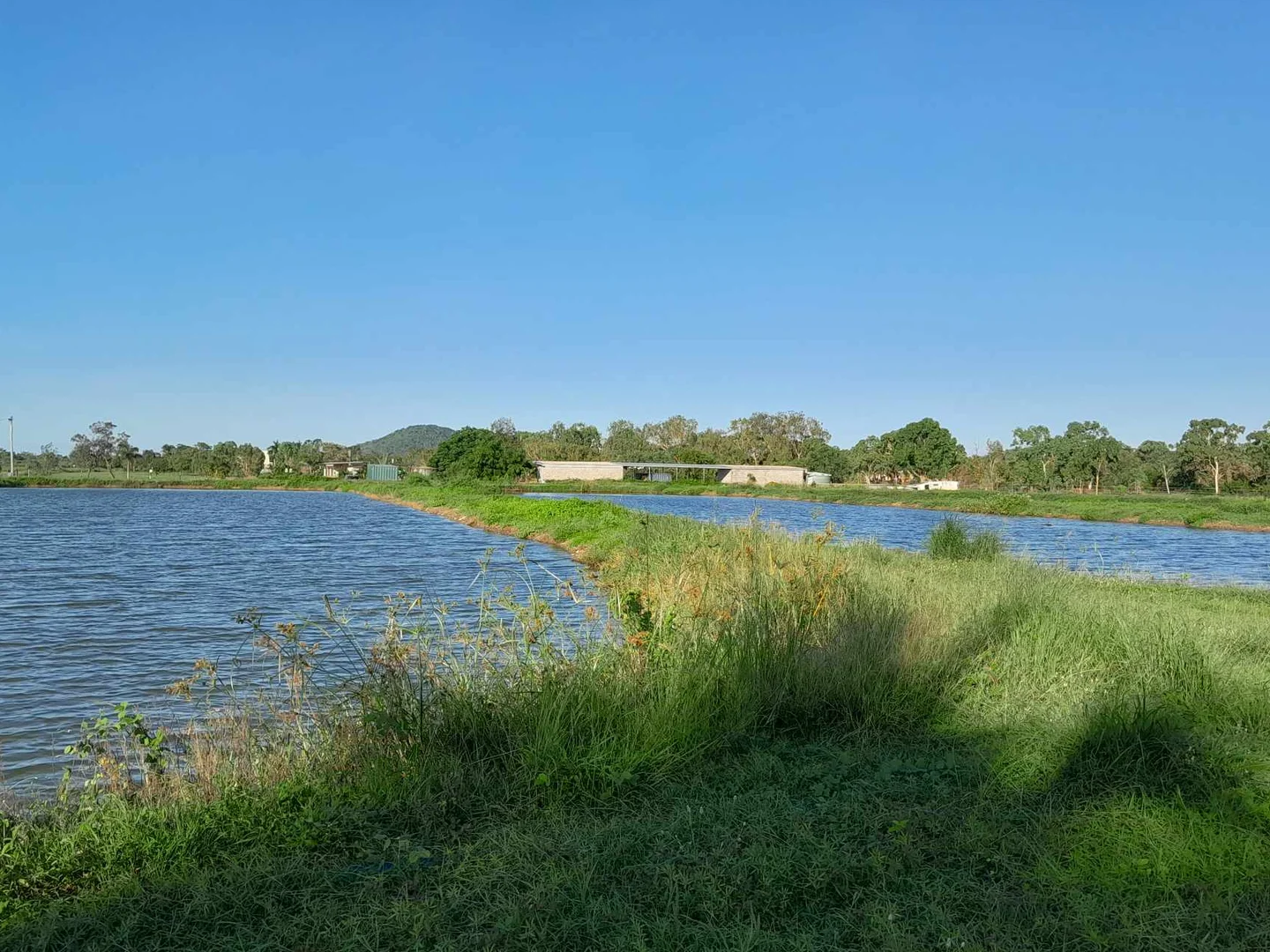 Additional image 21 of 697 Bootooloo Road, Bowen QLD 4805