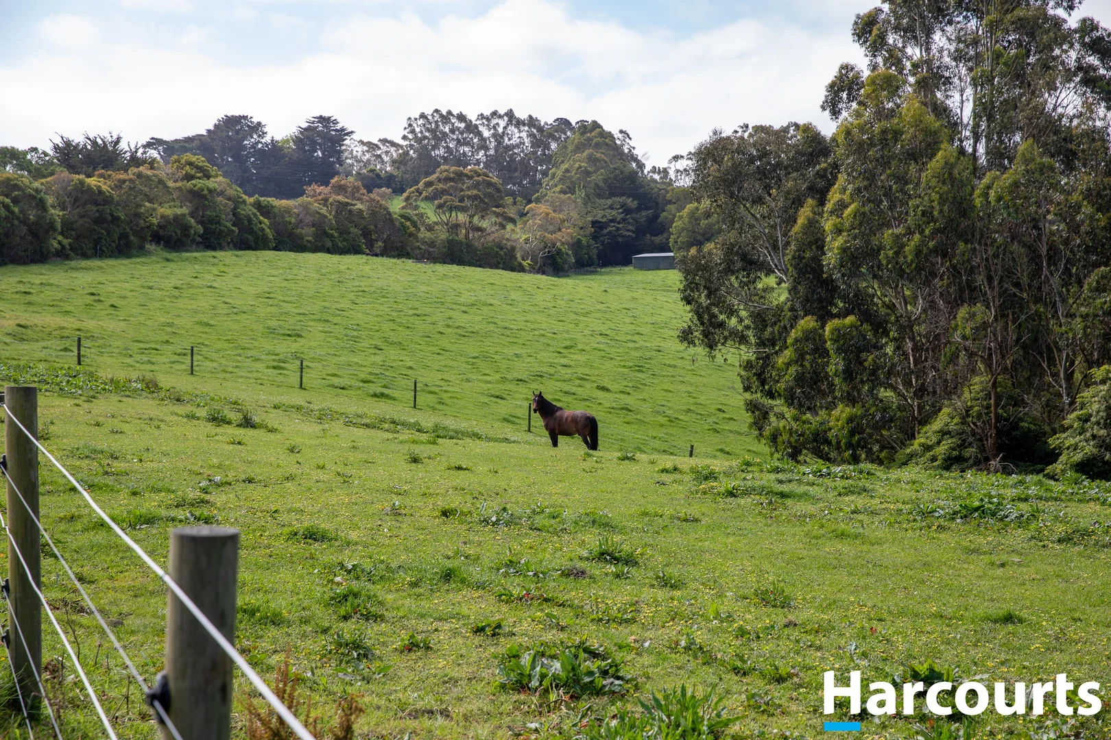 Additional image 31 of 715 Falls Road, Fish Creek VIC 3959