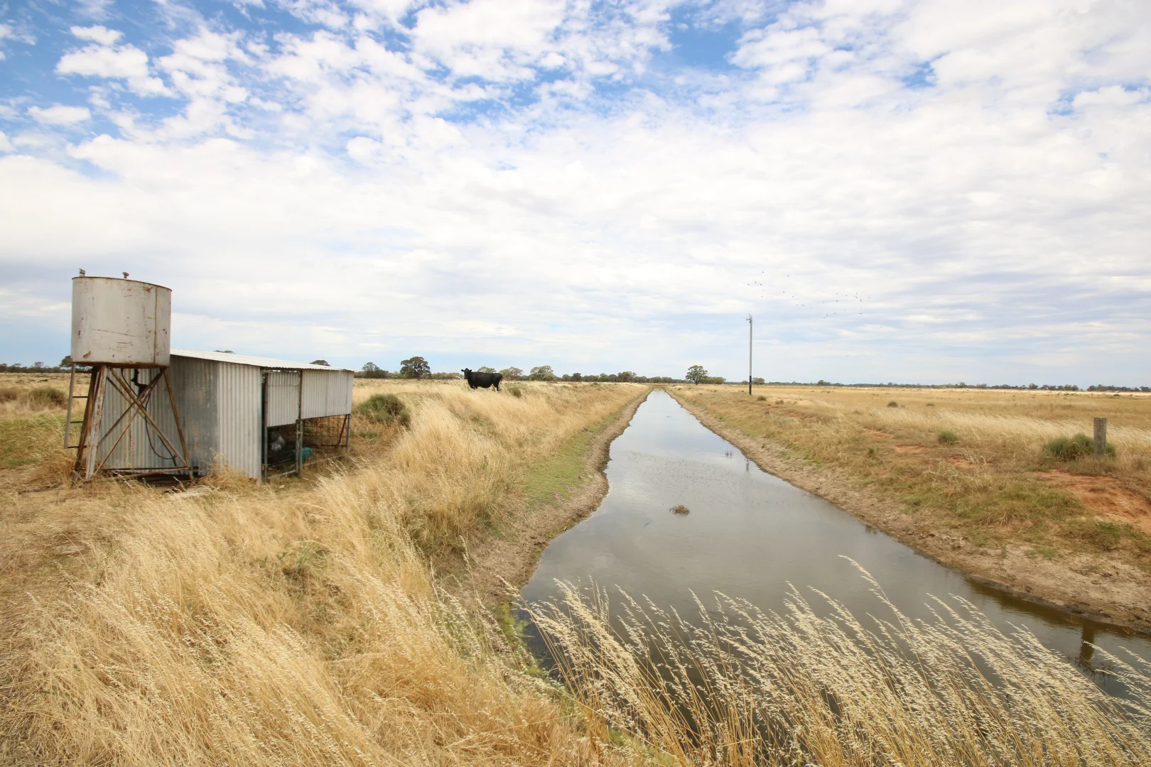 Additional image 12 of 614 Nullabooma Road, Wakool NSW 2710