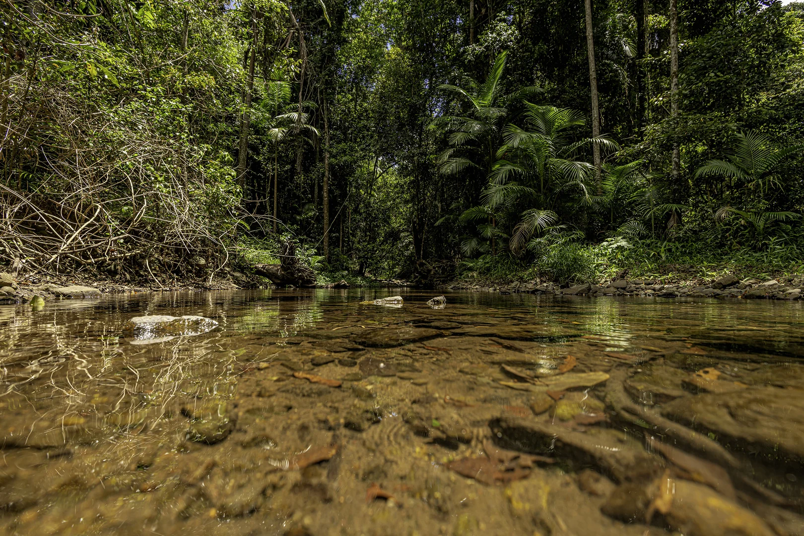 Additional image 20 of 492 River Road, Peachester QLD 4519