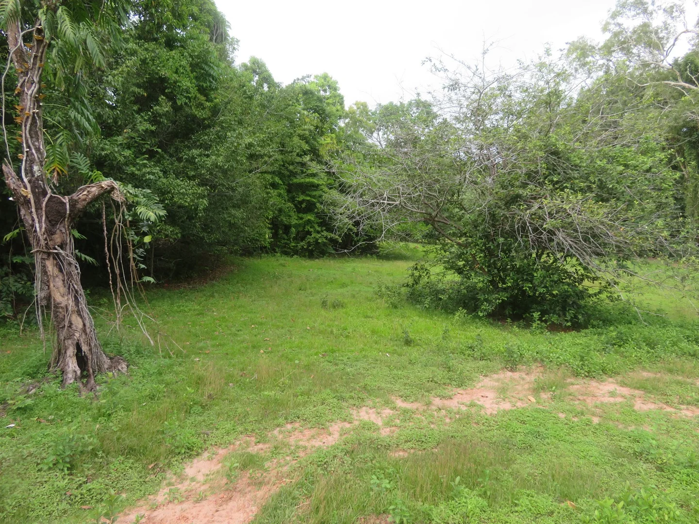 Additional image 20 of 364 Coquette Point Road, Coquette Point QLD 4860