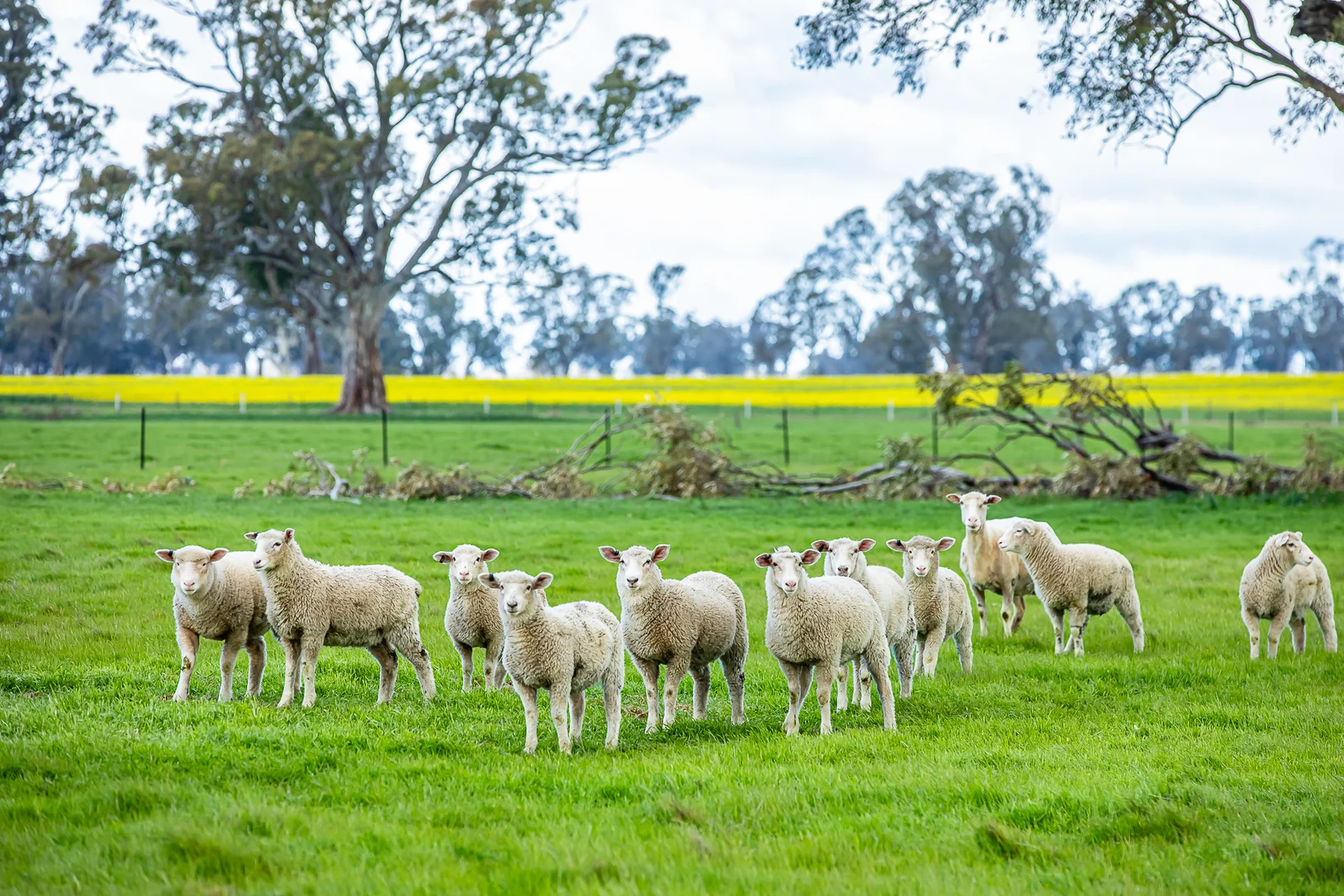 Additional image 6 of 58 Camerons and Lampards Road, Charam VIC 3318