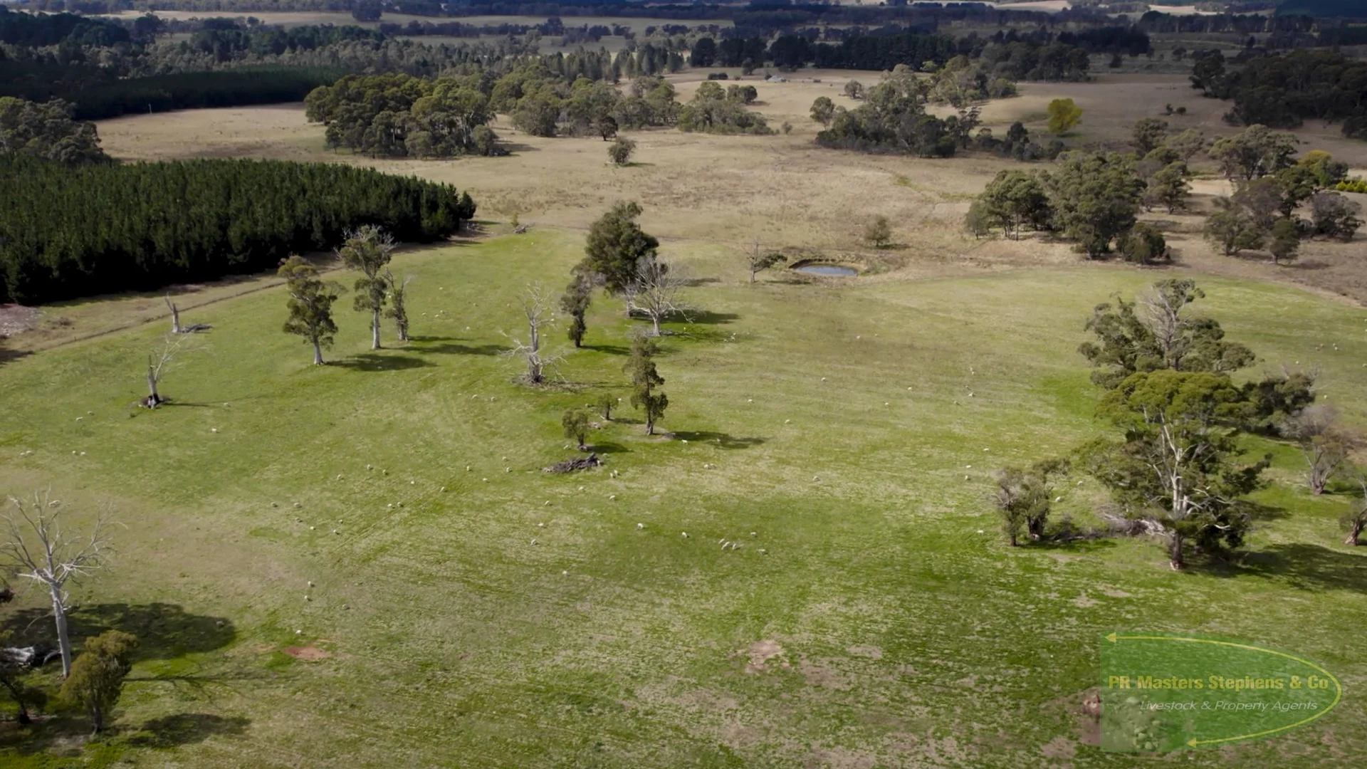 Additional image 58 of 800 Riverview Forest Road, Mozart NSW 2787