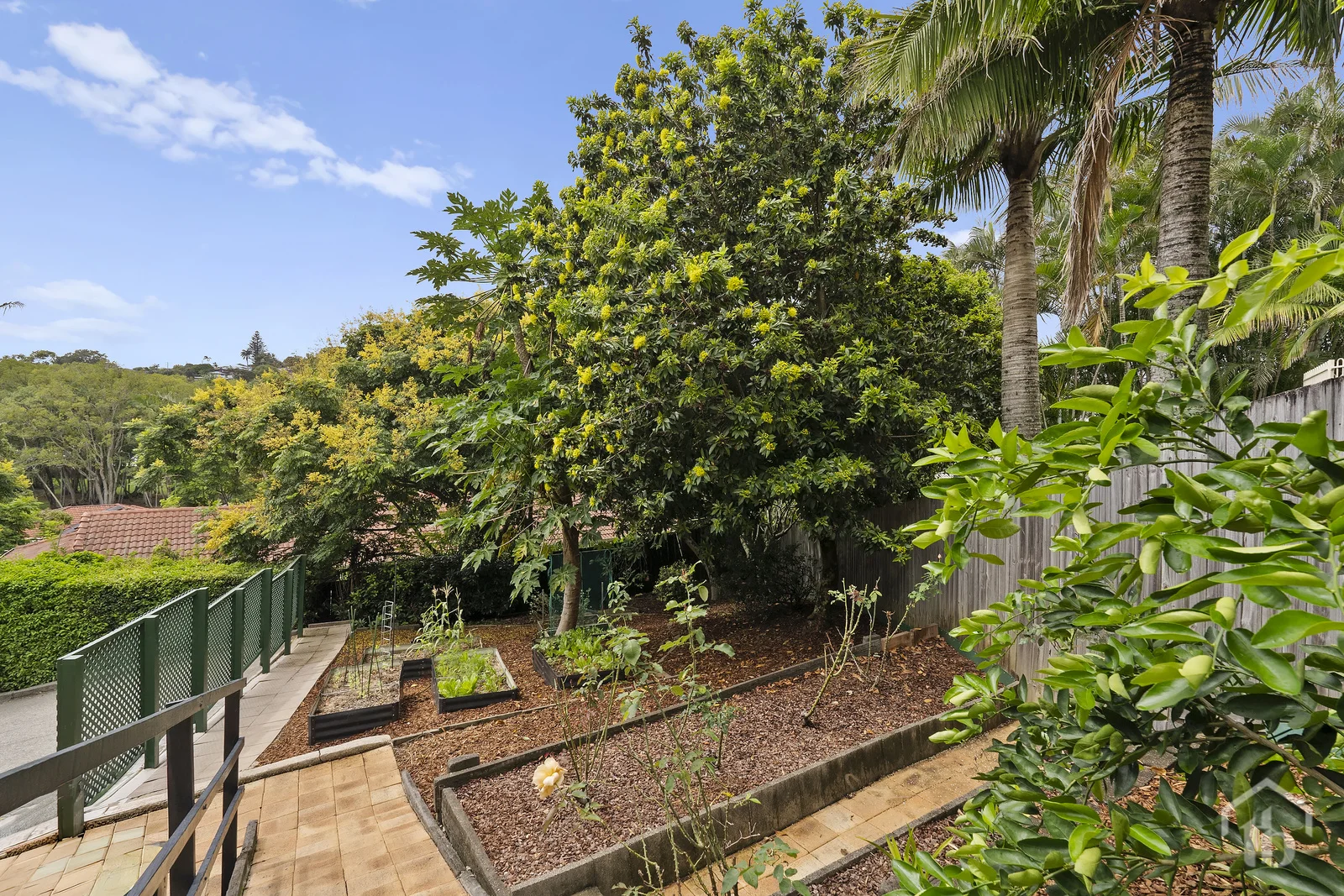 Additional image 17 of 46 Tralee Drive, Banora Point NSW 2486