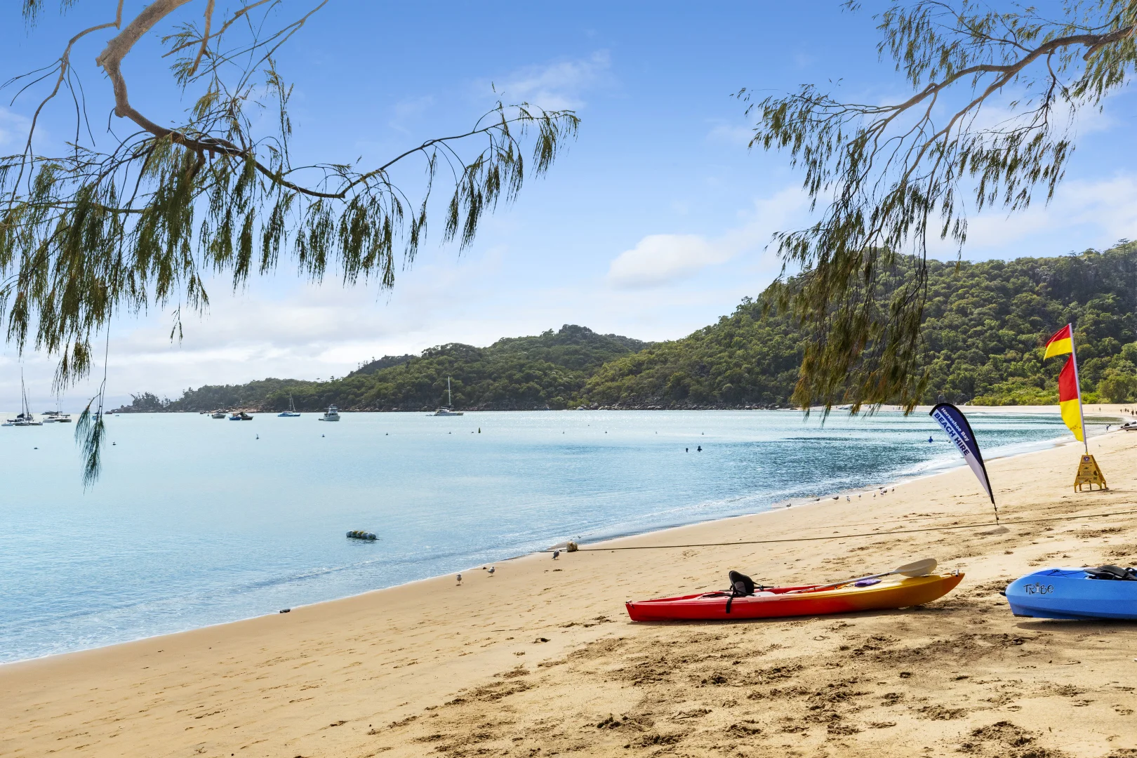 Additional image 8 of Lot 1-2 & 45/115-125 Horseshoe Bay Road, Horseshoe Bay QLD 4819