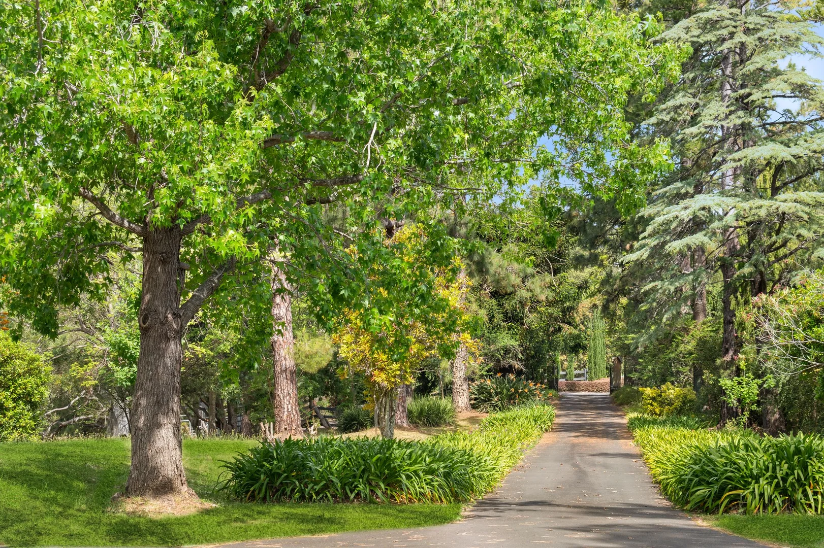 Additional image 4 of 816 Grose Vale Road, Grose Vale NSW 2753