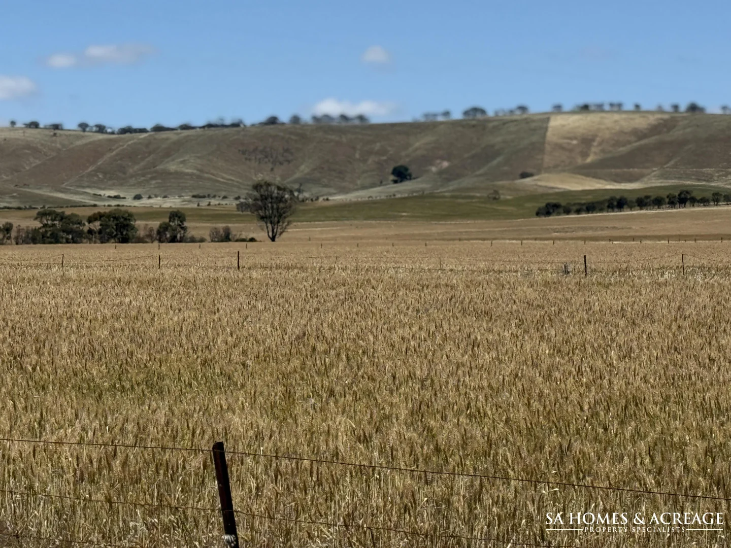 Additional image 14 of Section 407 & 408 Hills Road, Robertstown SA 5381