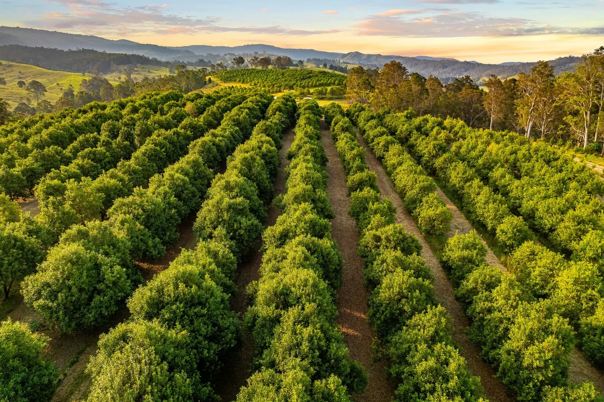 Additional image 8 of 323 Bingeebeebra Road, Bingeebeebra Creek NSW 2469