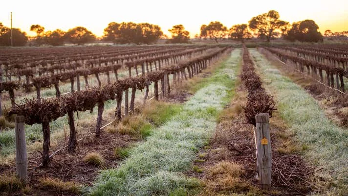 Additional image 8 of 634 Lake Plains Road, Lake Plains SA 5255
