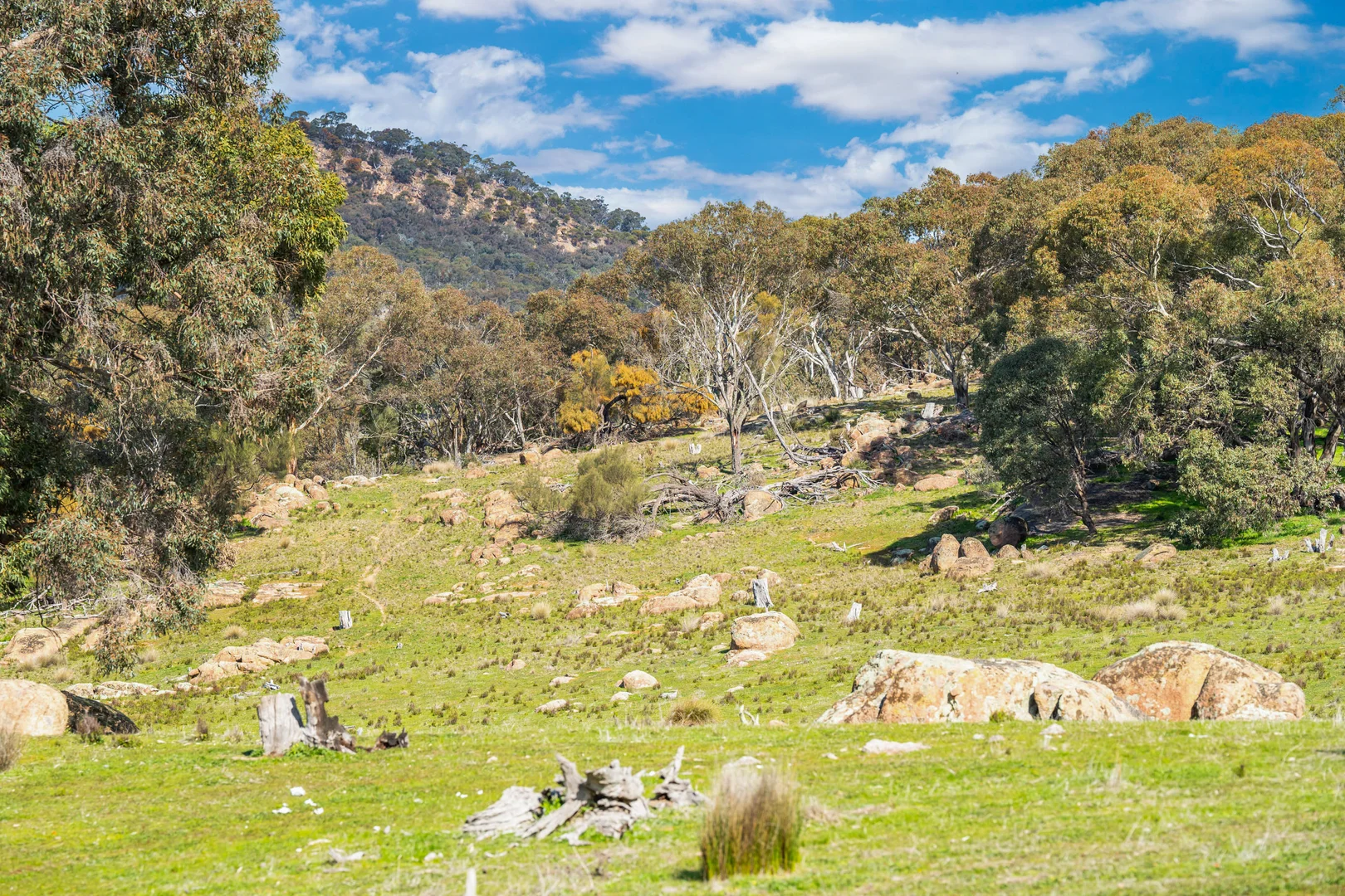 Additional image 6 of Rocky Creek Road, Springhurst VIC 3682