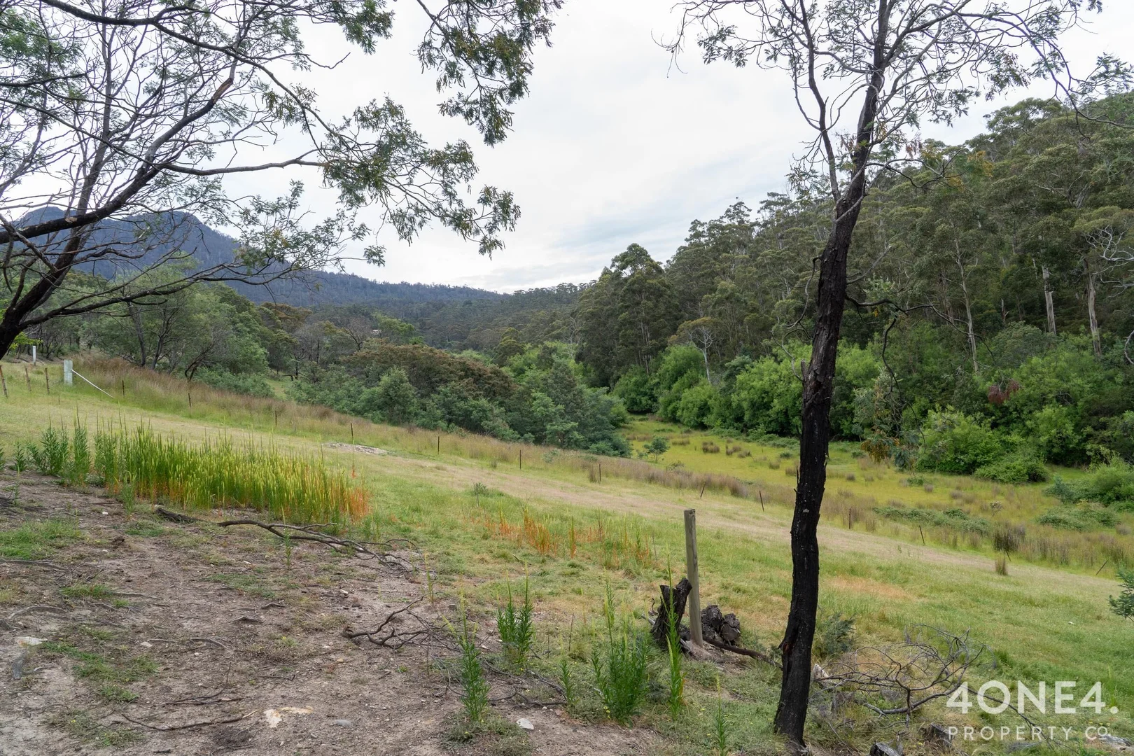 Additional image 6 of 228 Church Road, Dromedary TAS 7030