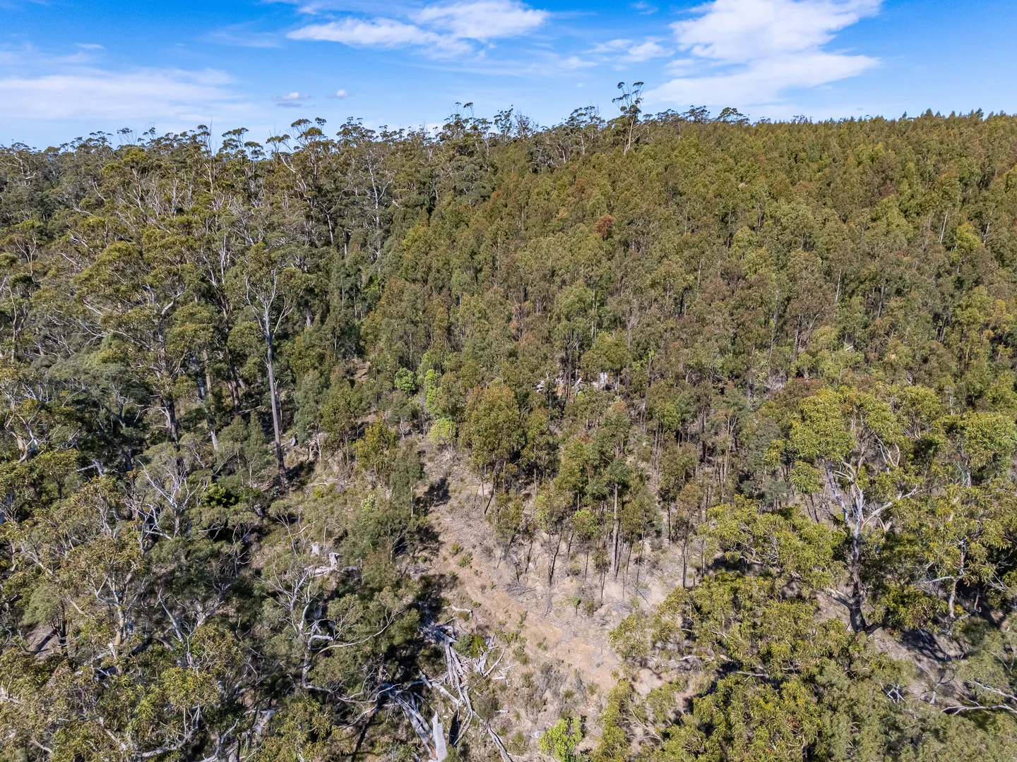 Additional image 29 of C/494 Hurdle Road, Saltwater River TAS 7186