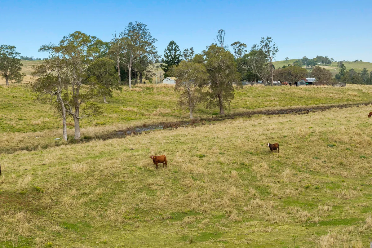 Additional image 16 of 39-57 Aspreys Road, Ettrick NSW 2474