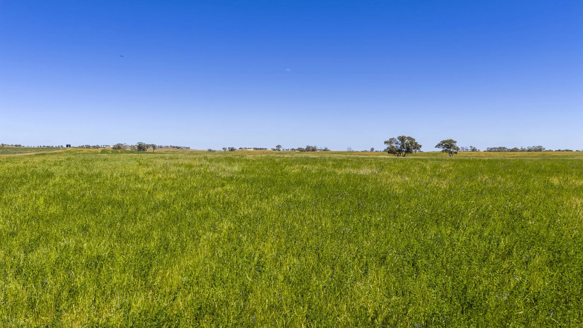 Additional image 11 of 1695 Emu Flat Road, Sherwood SA 5267