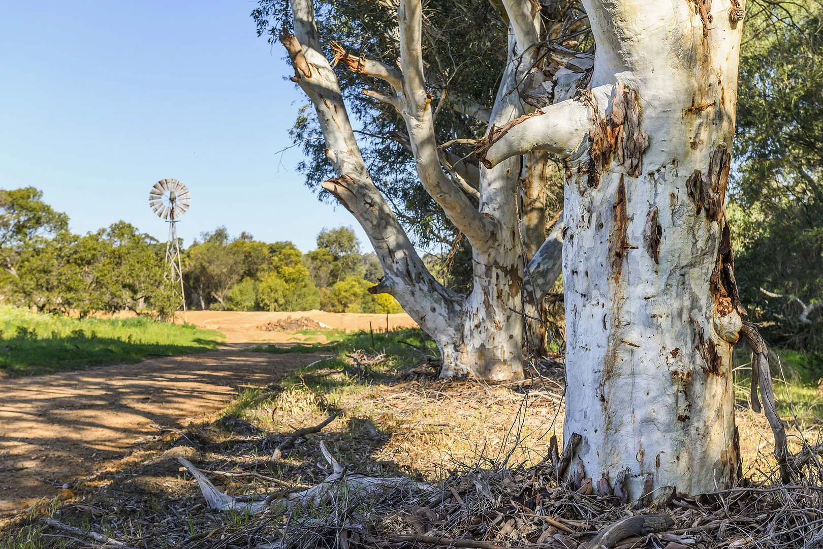 Additional image 22 of Guernsey Rise, Lower Chittering WA 6084