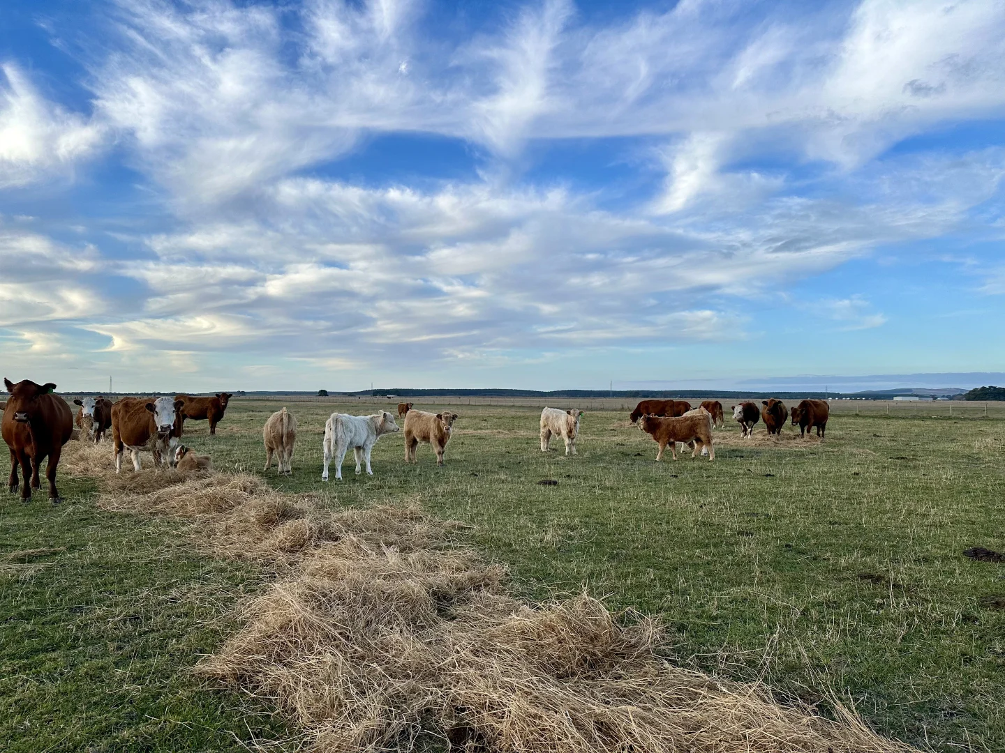 Additional image 14 of 1, Lot 417 & 429 Sebastopol Springs Rd, Sebastopol SA 5280