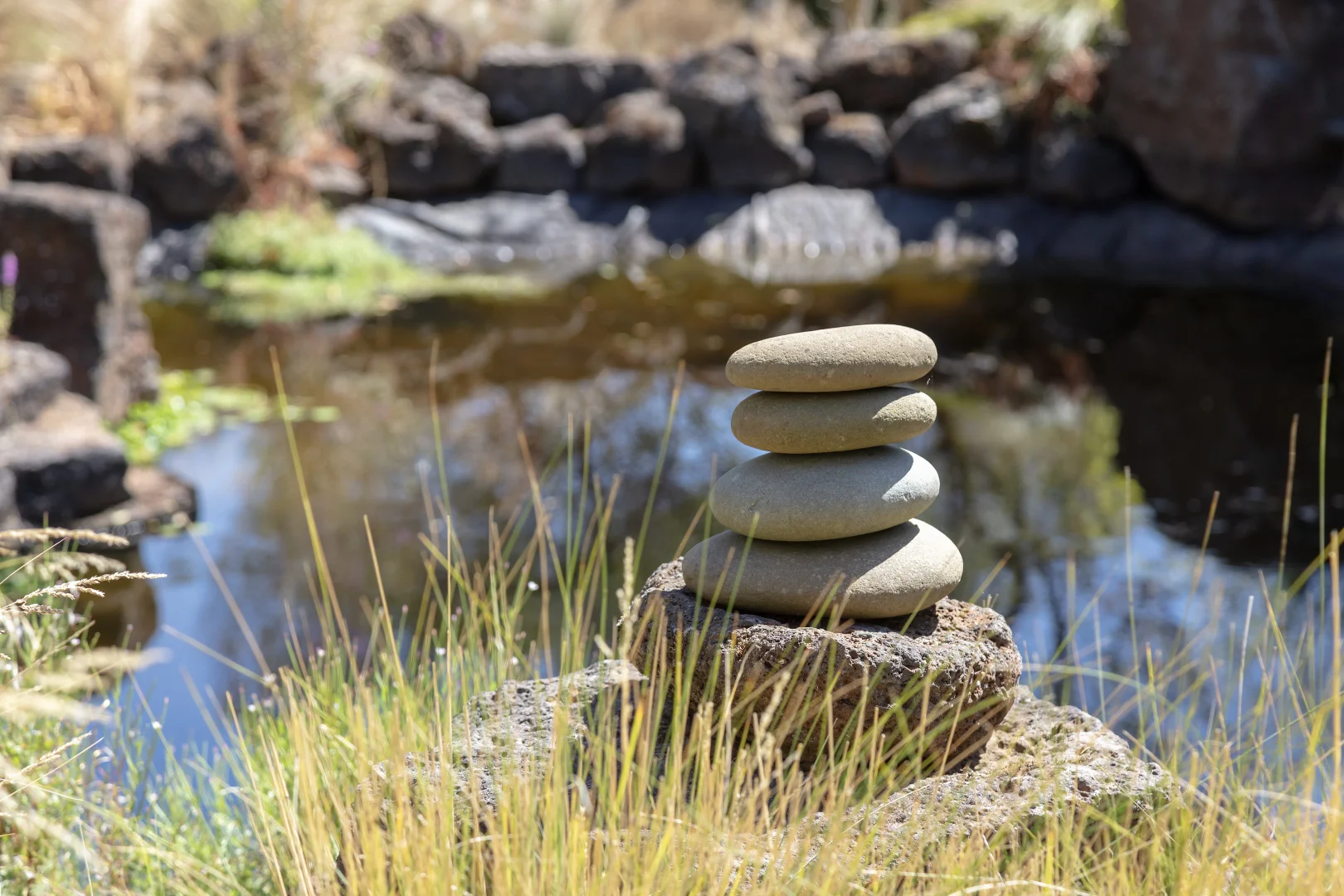 Additional image 16 of 1409 Birregurra Deans Marsh Road, Deans Marsh VIC 3235