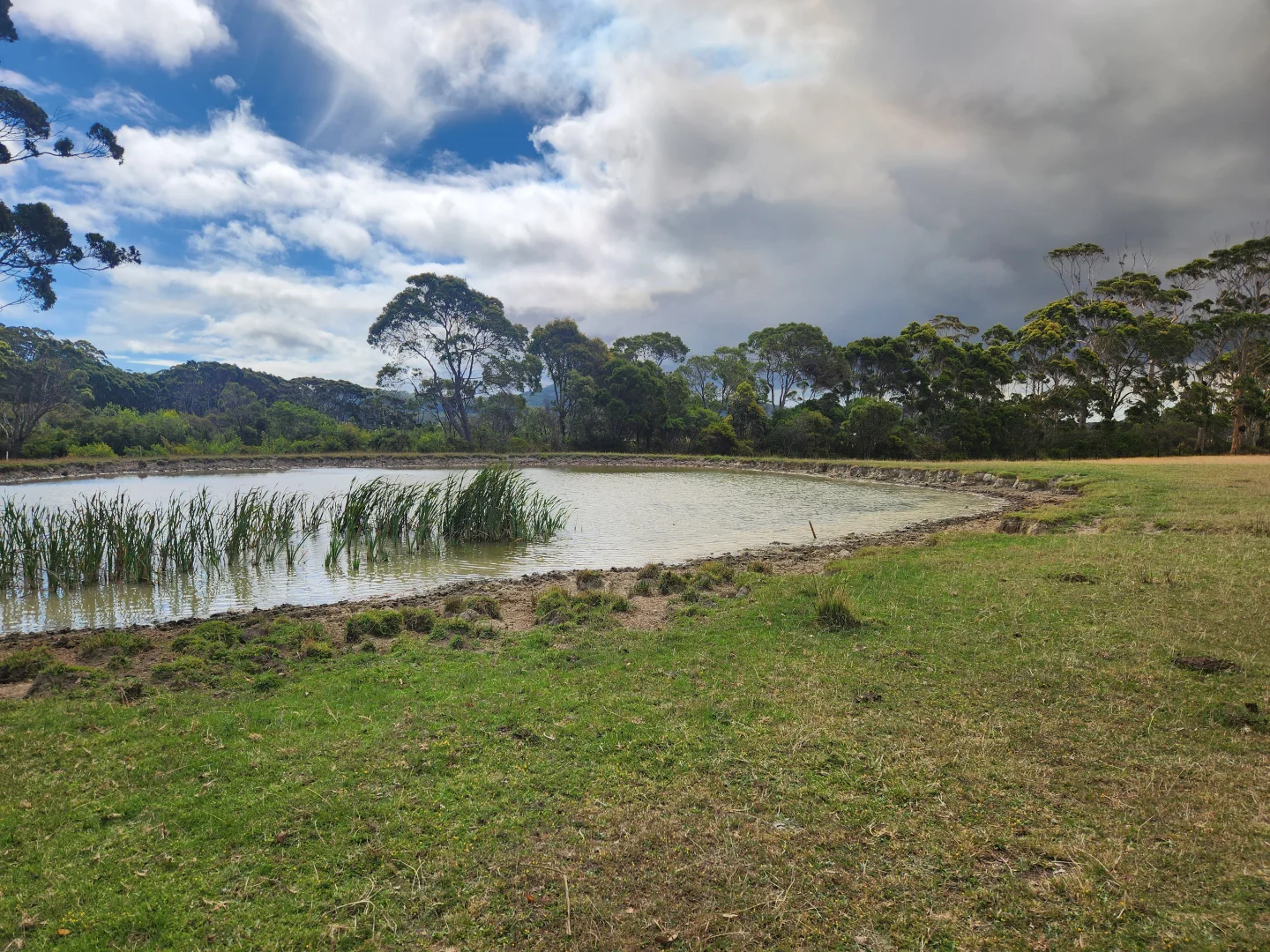 Additional image 26 of 38491 South Western Highway, Broke WA 6398