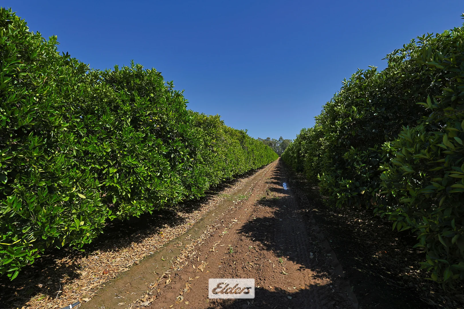 Additional image 9 of 310 Delta Road, Curlwaa NSW 2648