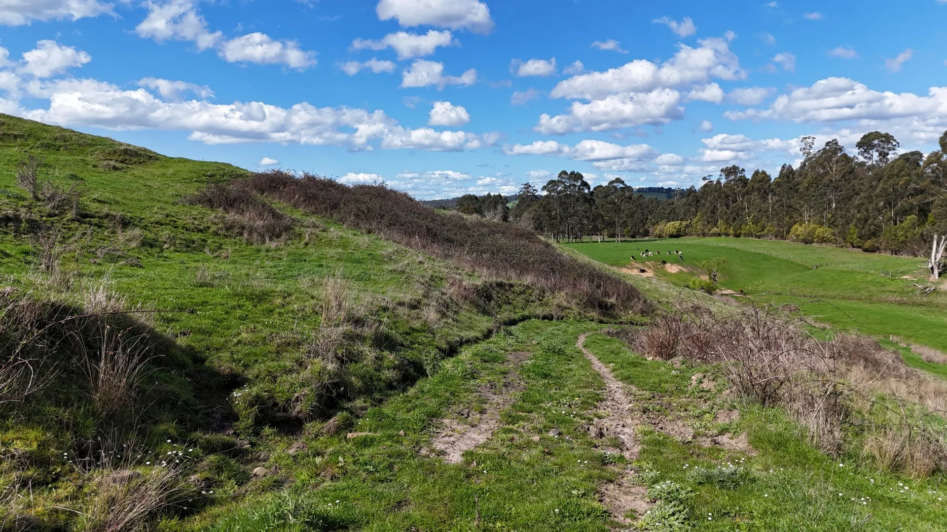 Additional image 10 of 141 BUNDERRA DRIVE, Boolarra VIC 3870