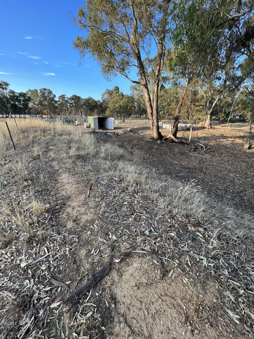 Additional image 11 of Lot CA A15/3383 Avoca-Bealiba Road, Bealiba VIC 3475