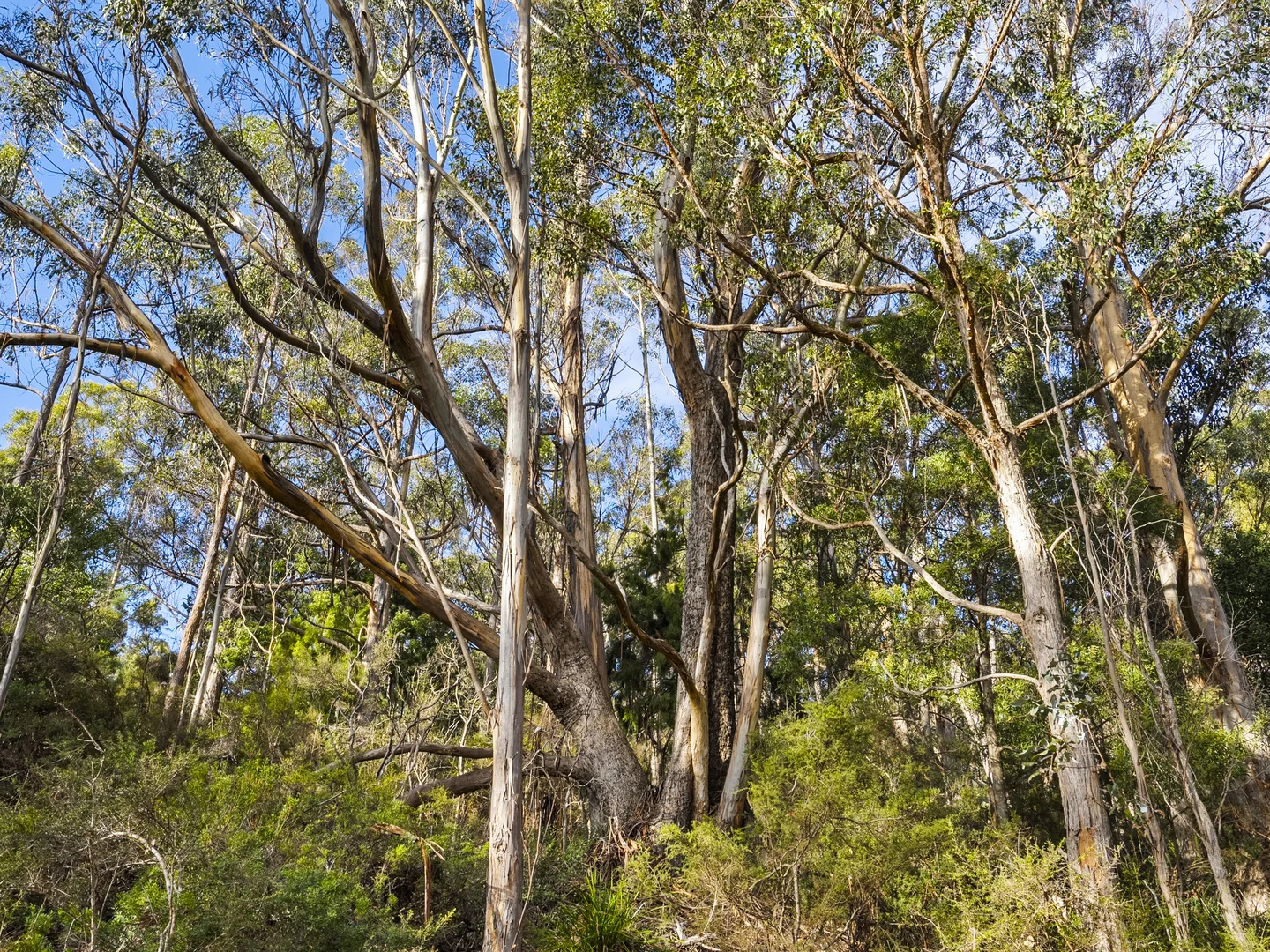 Additional image 16 of Lot 4 Tip Road, Nubeena TAS 7184