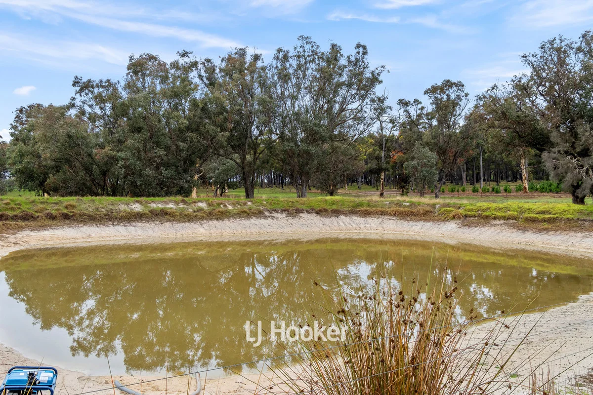 Additional image 21 of 660 McAlinden Road, McAlinden WA 6225