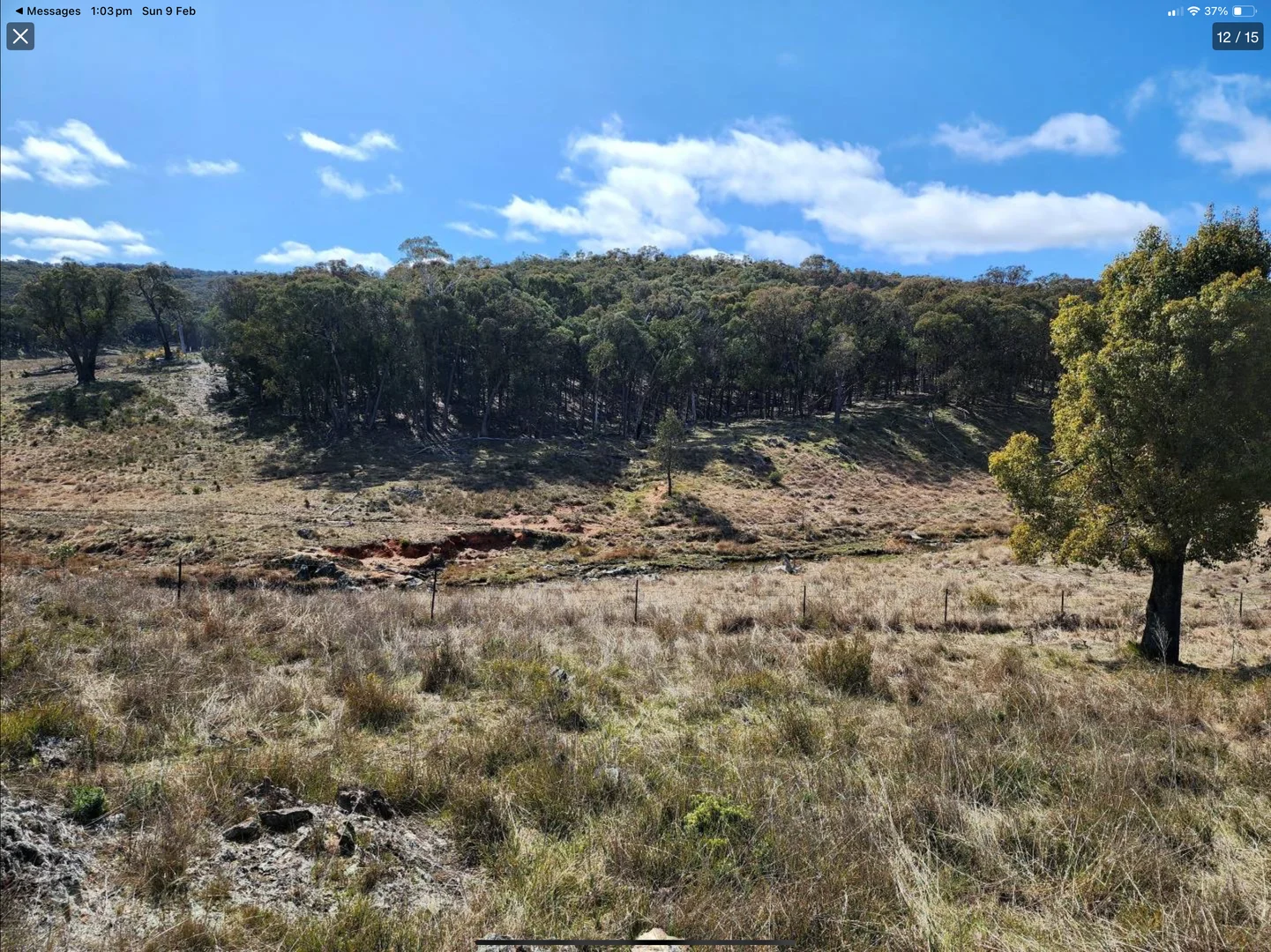 Additional image 17 of "Cummings Gap" Ullamalla road, Mudgee NSW 2850