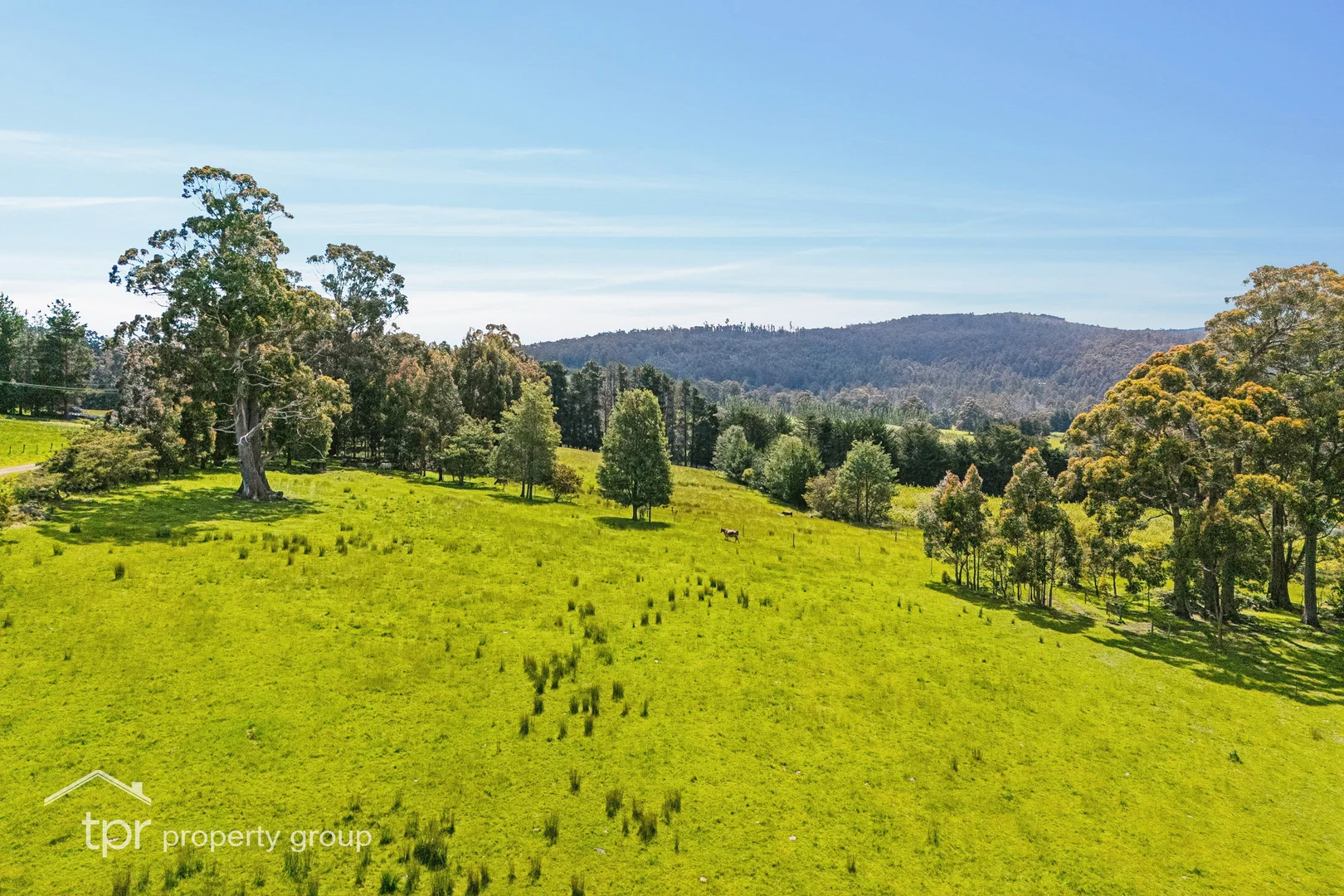 Additional image 13 of Lot 1 Braeside Road, Franklin TAS 7113