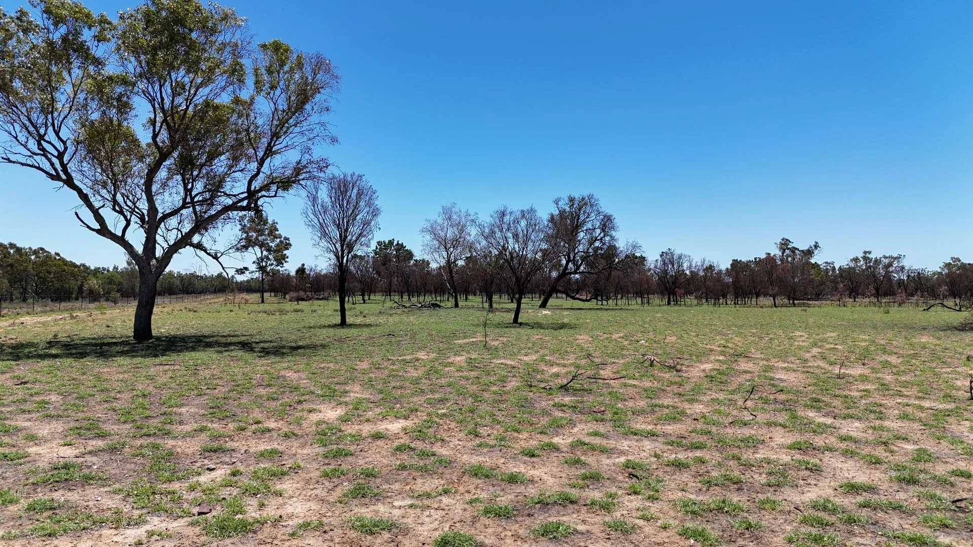 Additional image 18 of 202-410 Wallal Street, Bakers Bend QLD 4470