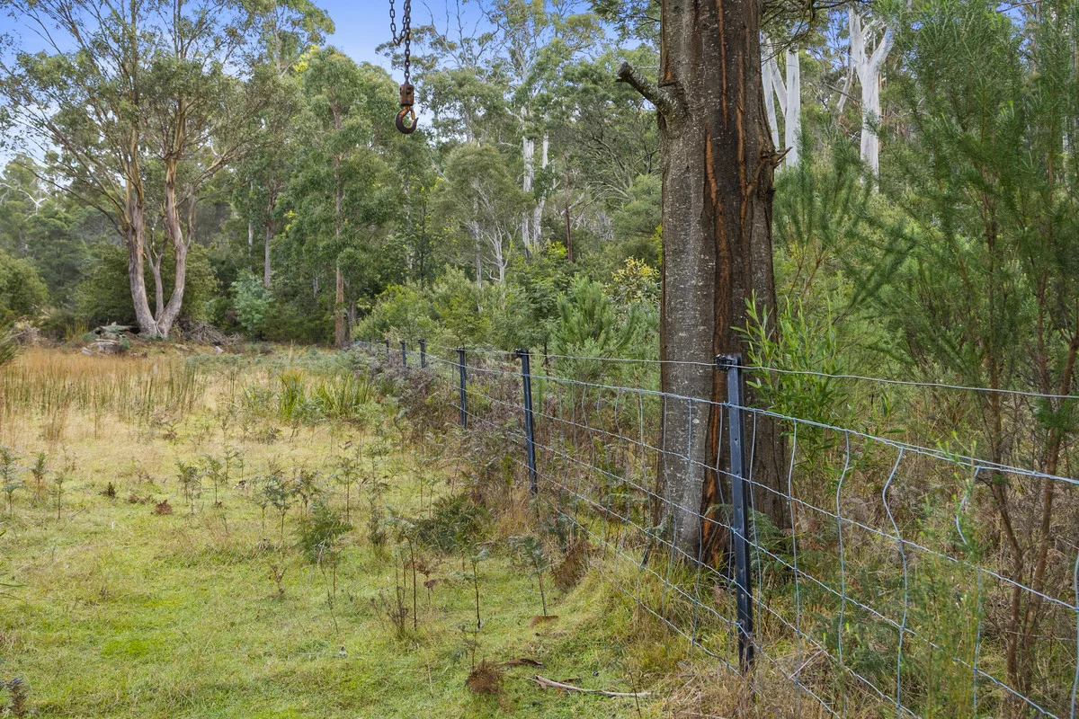 Additional image 20 of 1 & 2 Bresnehans Road, Little Swanport TAS 7190